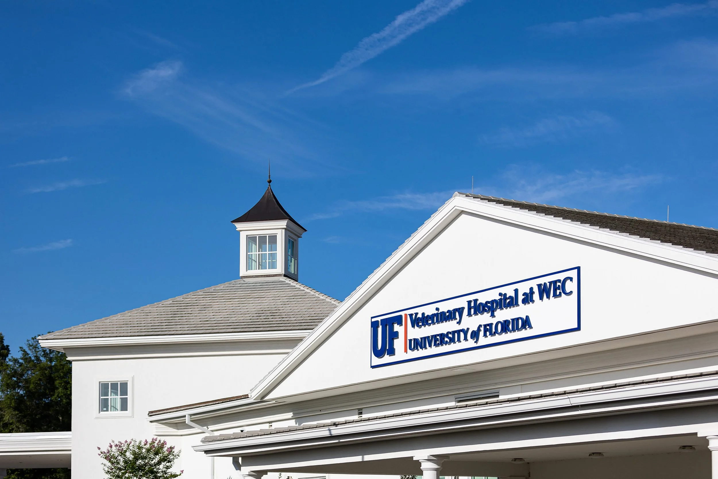 2022-WEC-UF-vet-clinic-medium-9524.jpg