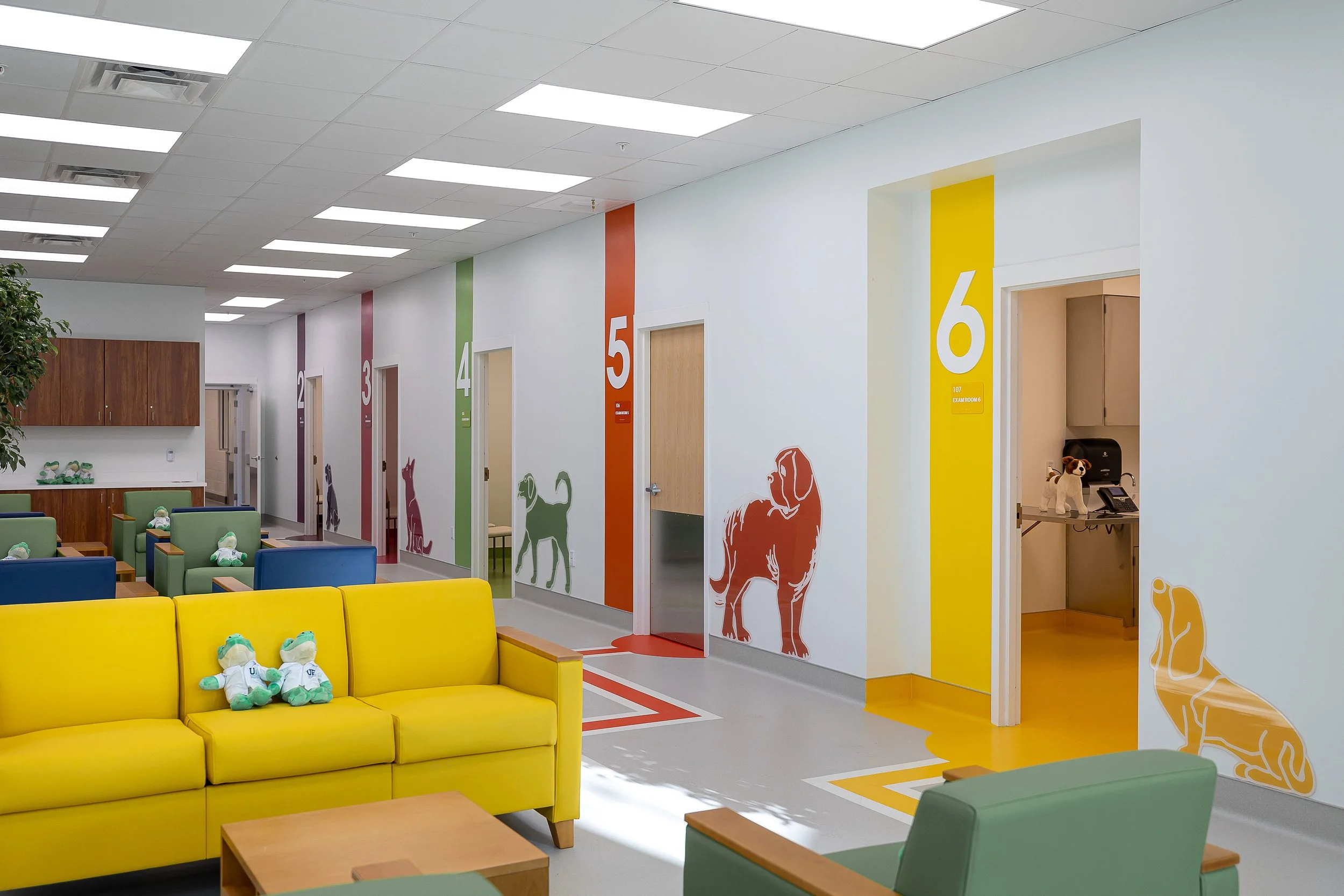 2022-WEC-UF-vet-clinic-medium-2848 (1).jpg