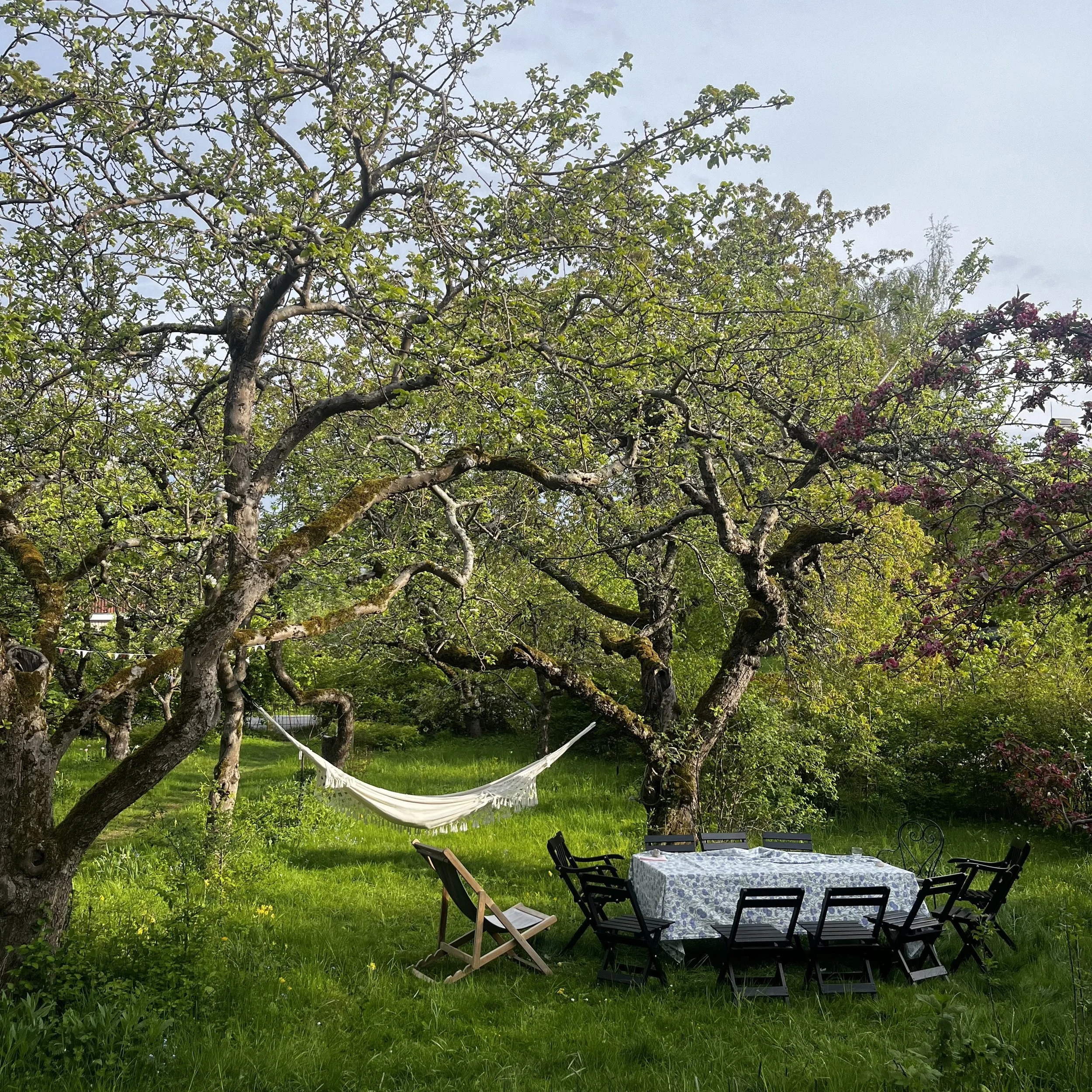 Kulturmiljö i Storängen