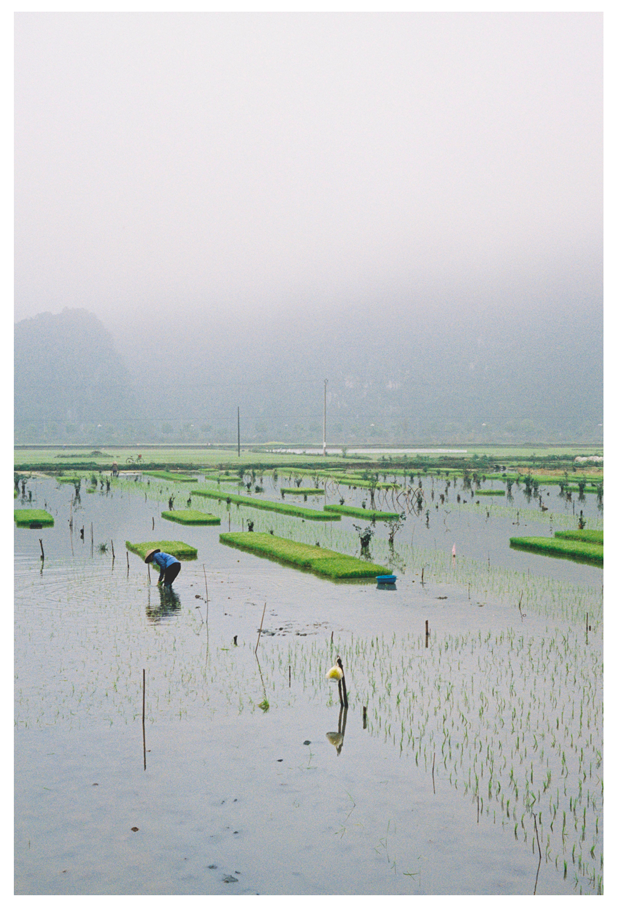 Voyage, Vietnam, Charlotte-Magne-Photographie©