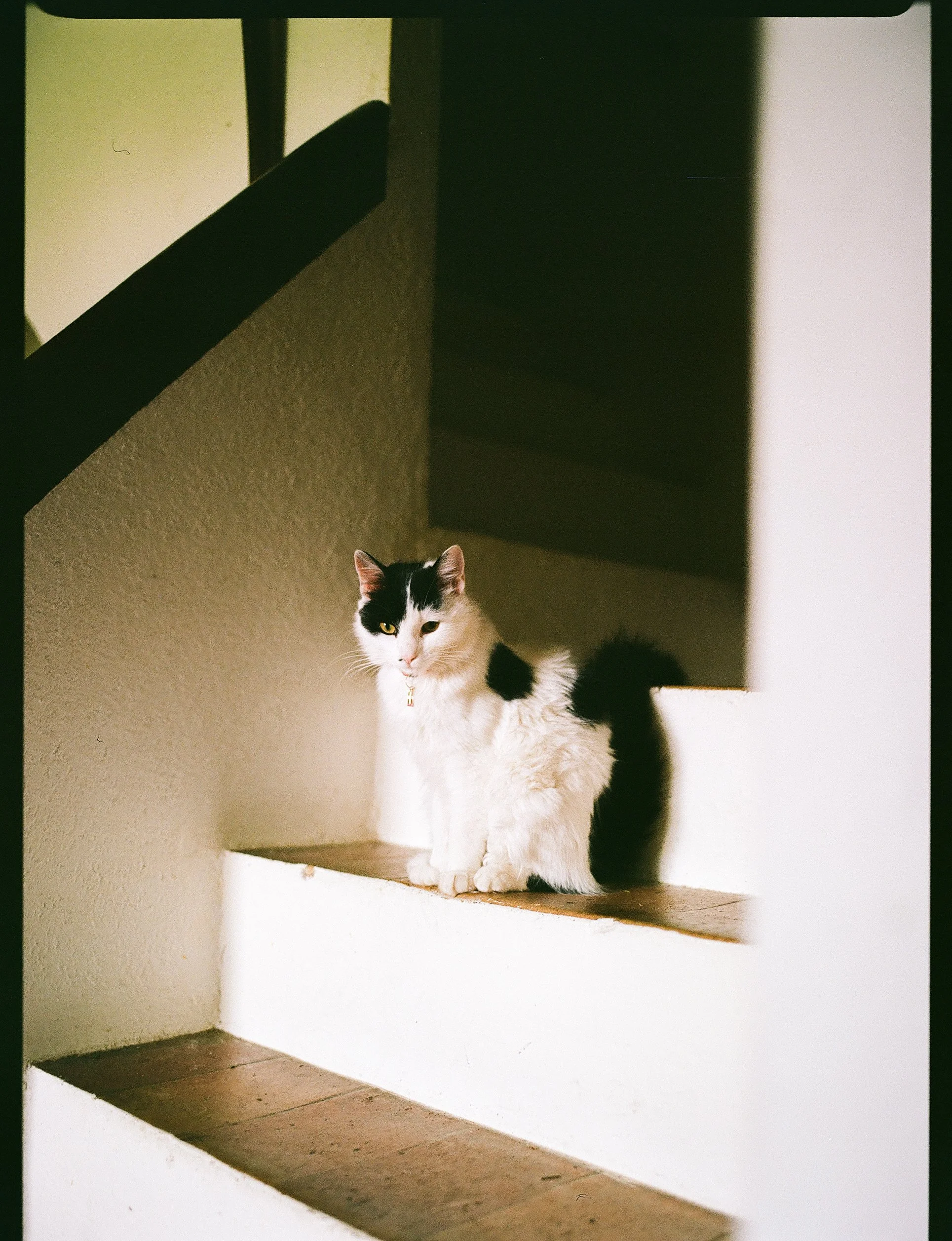 Reportage, Nature, Can Silvestre ©Charlotte-Magne-Photographie