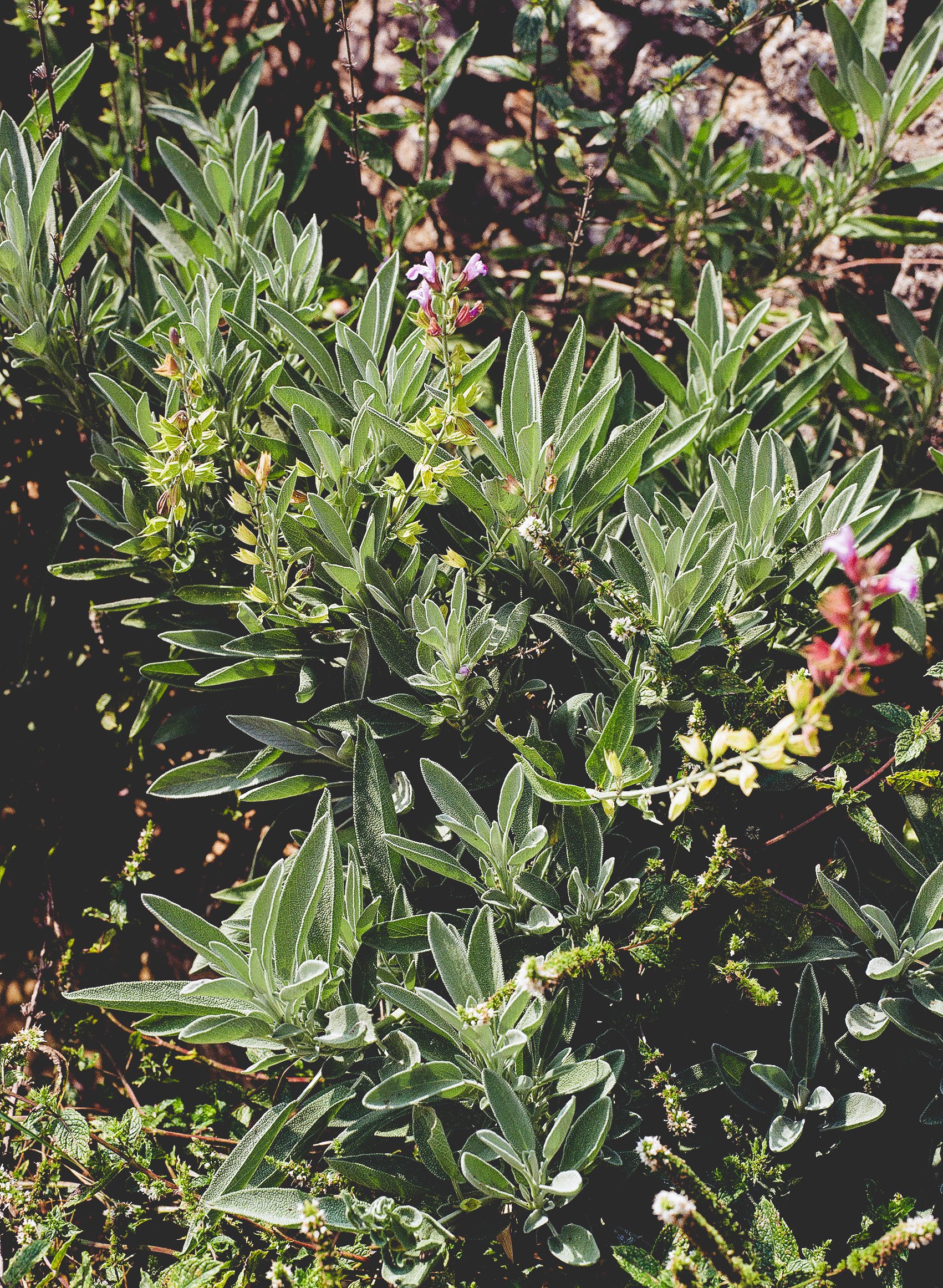 Reportage, Écologie, Marseille ©Charlotte-Magne-Photographie