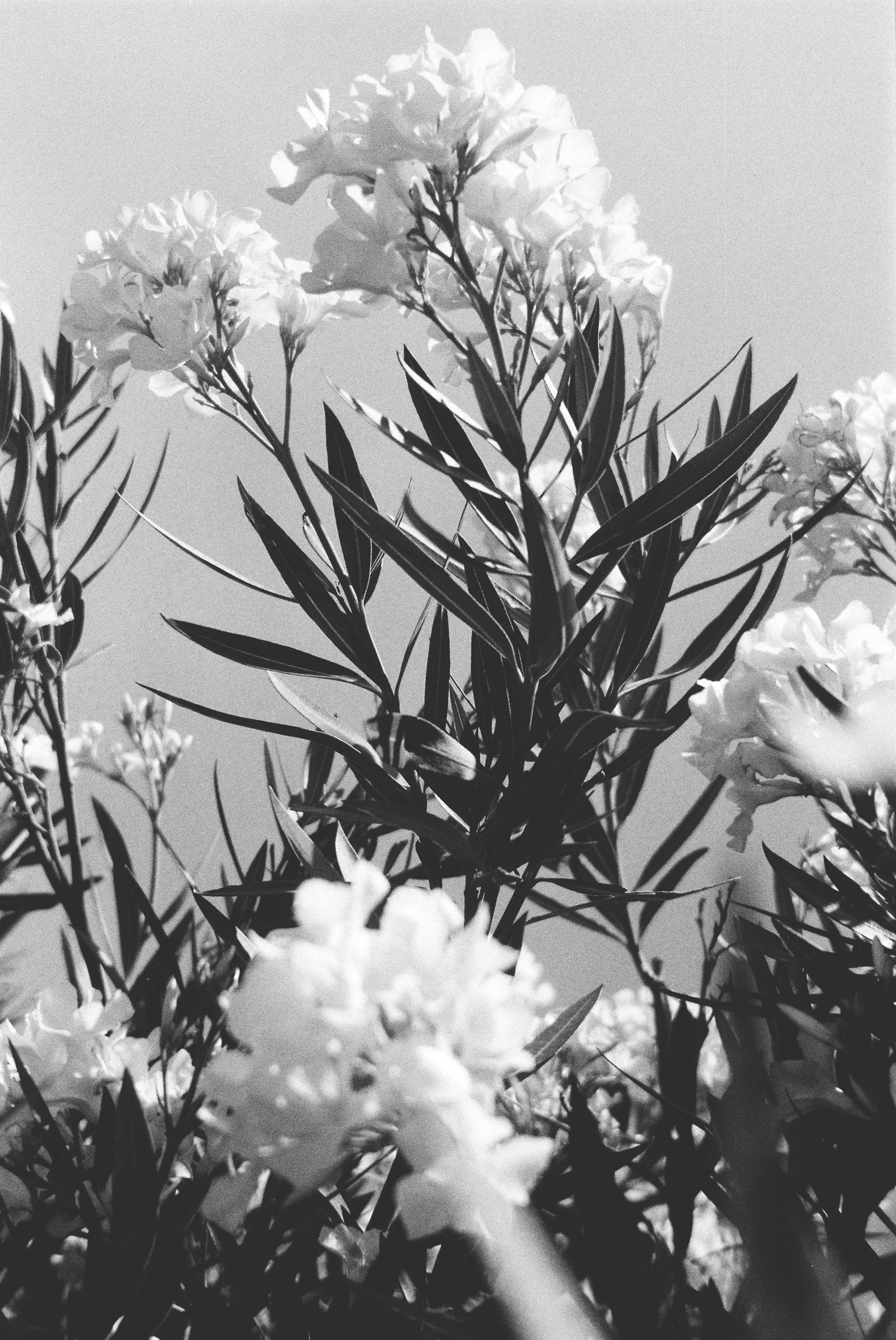 Voyage, Provence, Charlotte-Magne-Photographie©