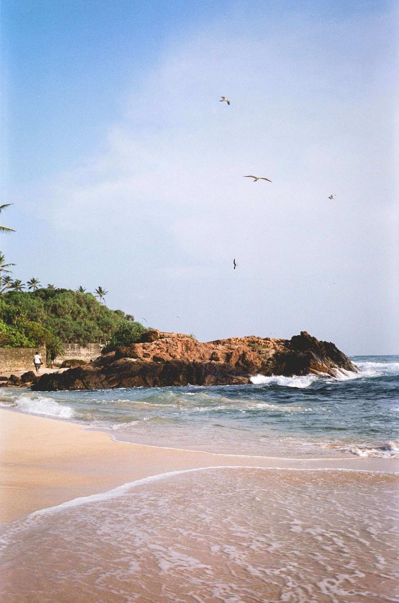 Voyage, Sri Lanka, Charlotte-Magne-Photographie©