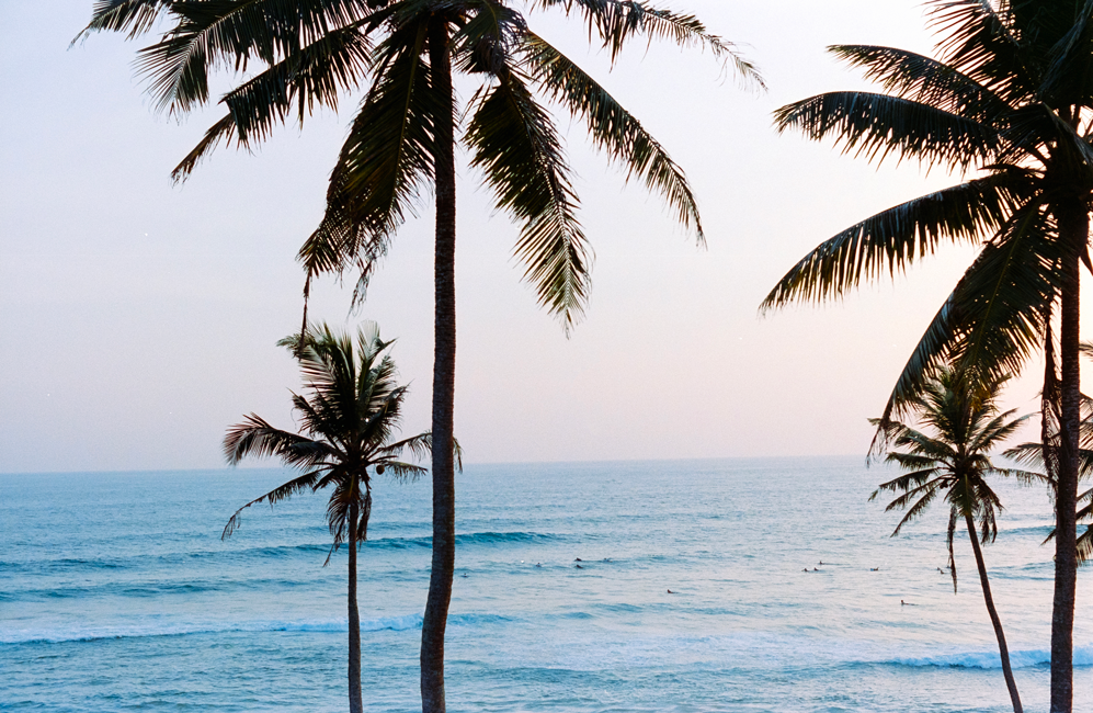 Voyage, Sri-Lanka, Charlotte-Magne-Photographie©