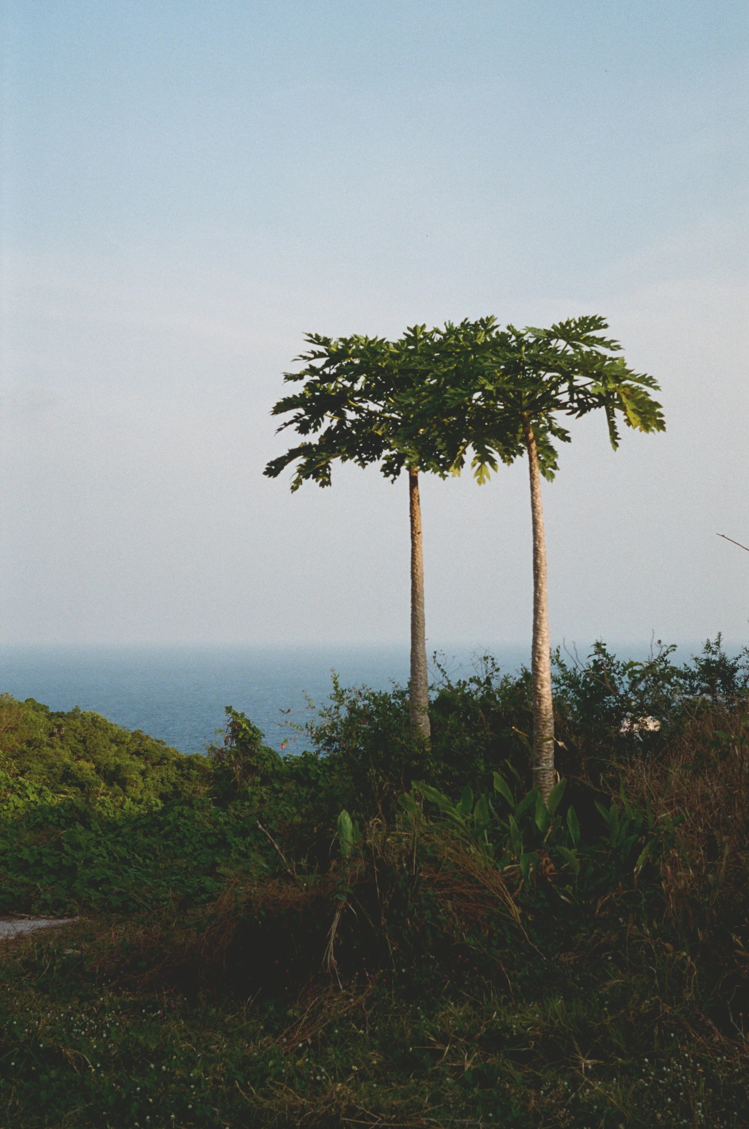 Voyage, Thaïlande, Charlotte-Magne-Photographie©