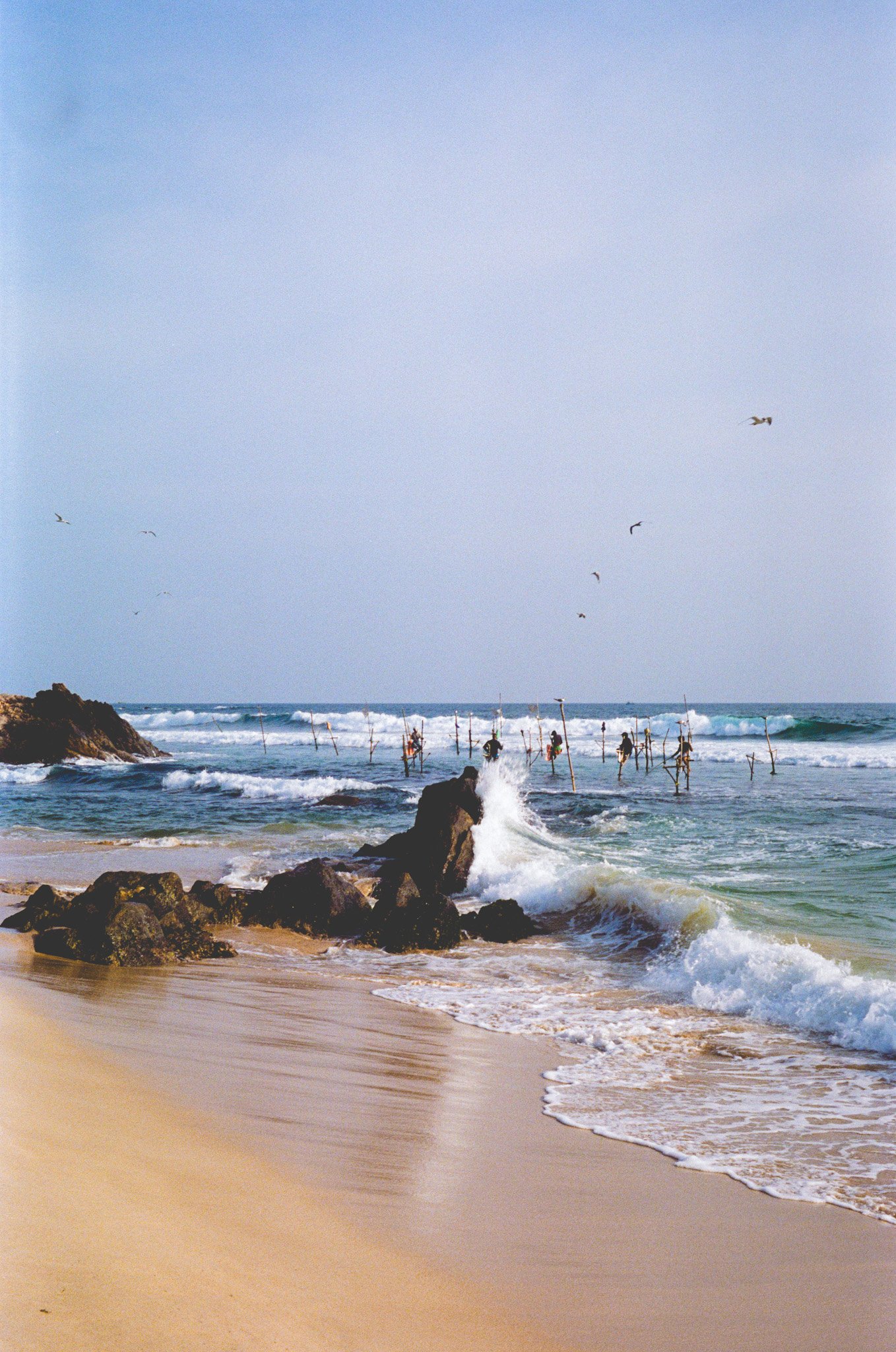 Voyage, Sri Lanka, Charlotte-Magne-Photographie©