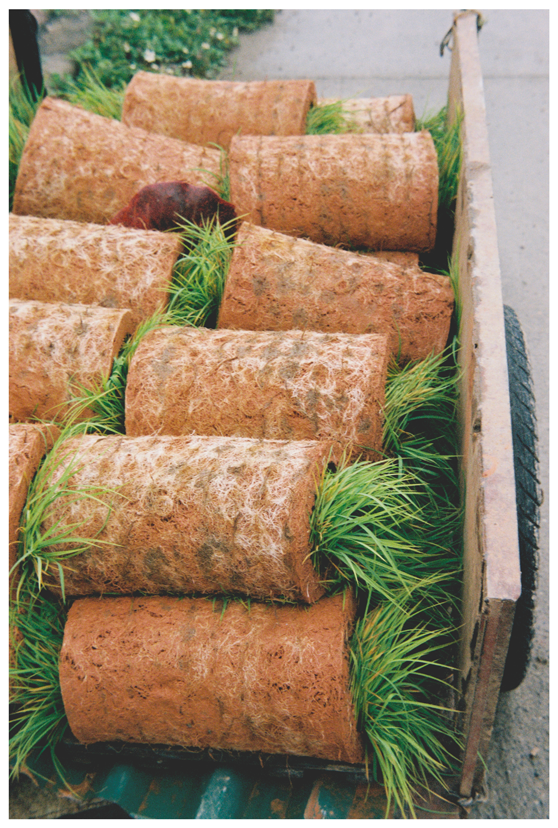 Voyage, Vietnam, Charlotte-Magne-Photographie©