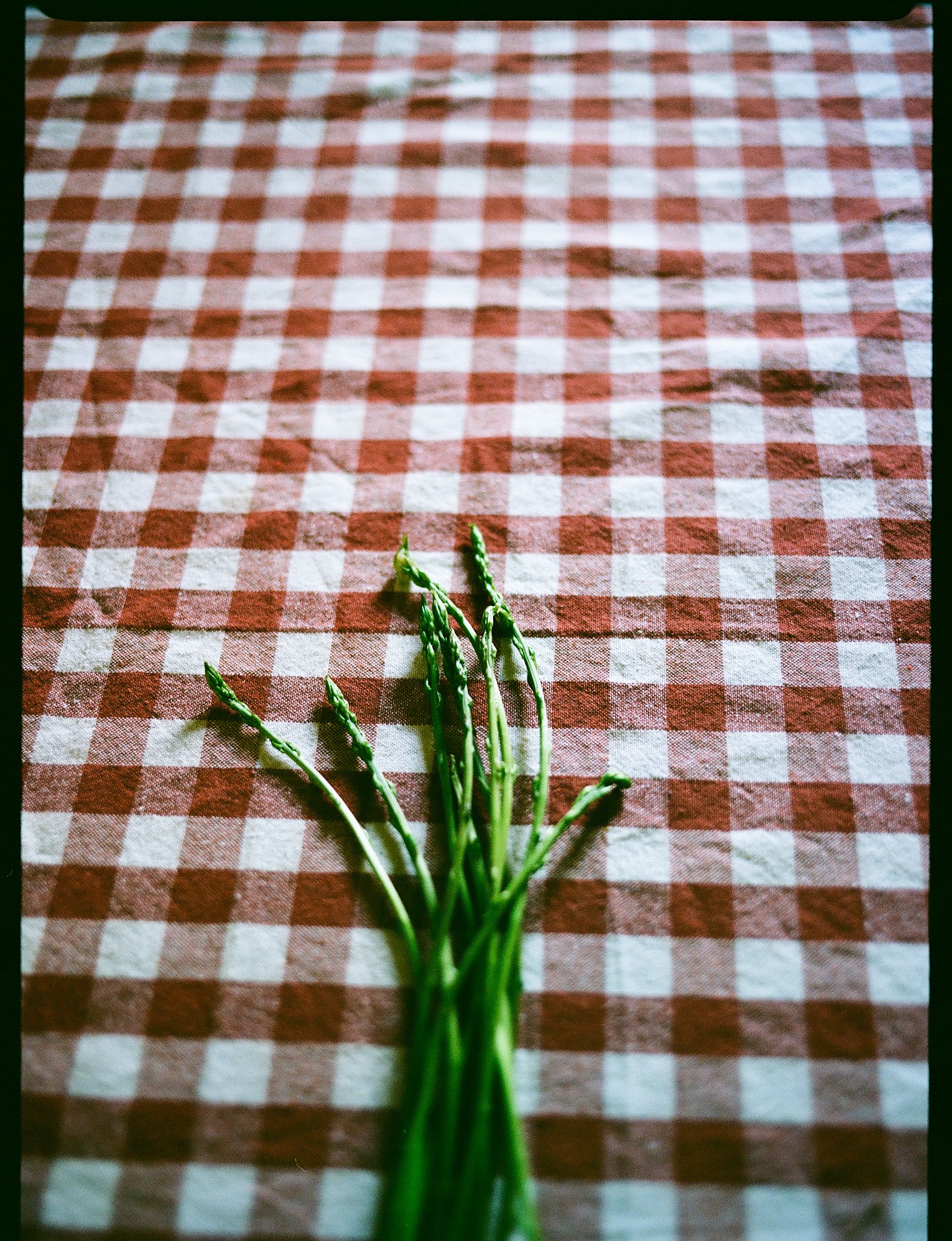 Reportage, Nature, Can Silvestre ©Charlotte-Magne-Photographie