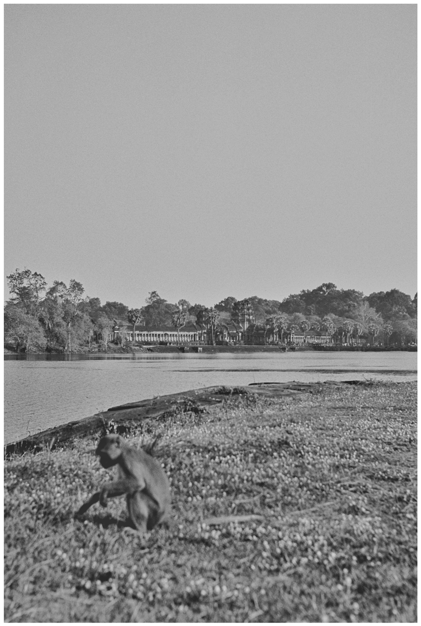 Voyage, Cambodge, Charlotte-Magne-Photographie©