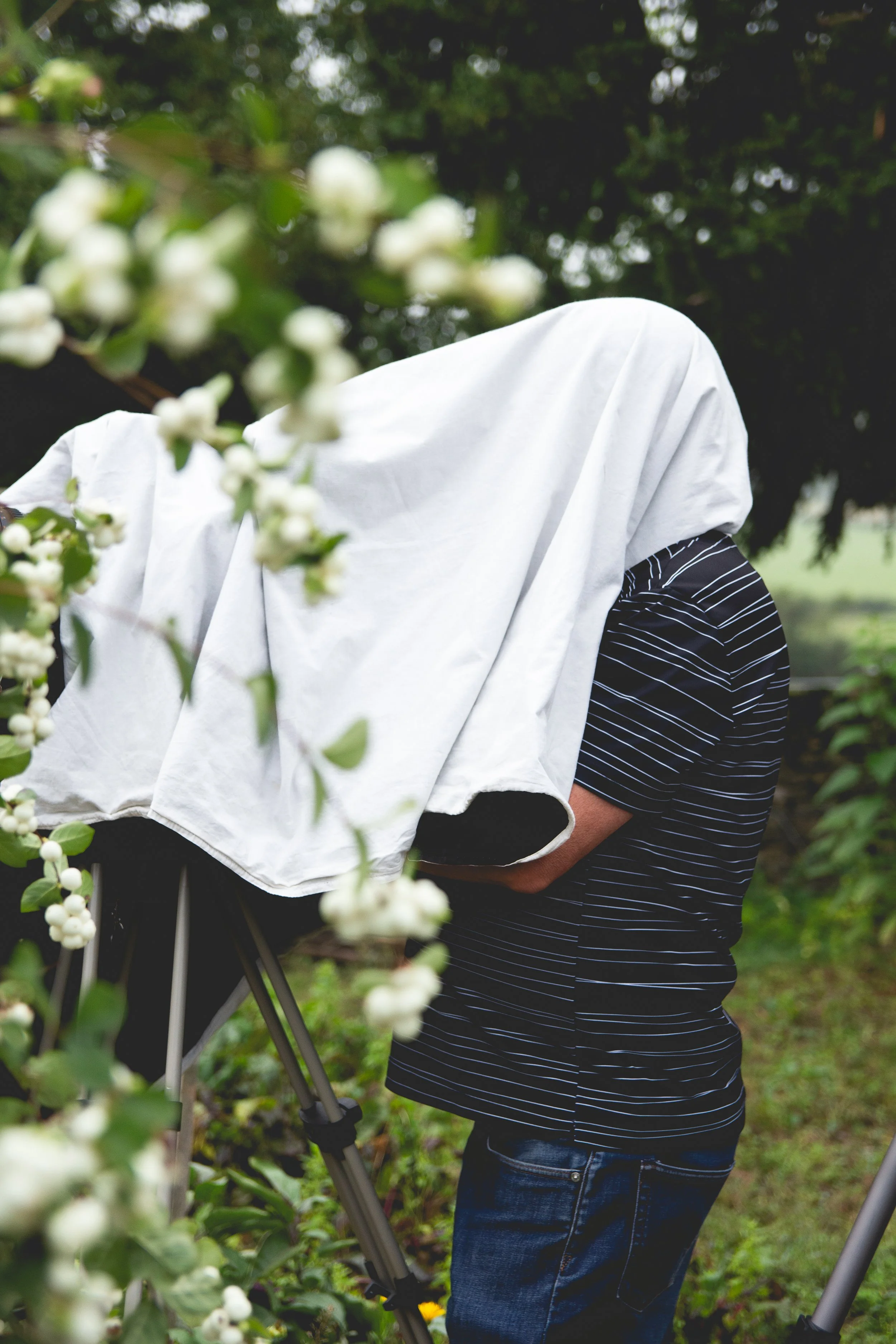 Cinema, Marseille ©Charlotte-Magne-Photographie-Plateau