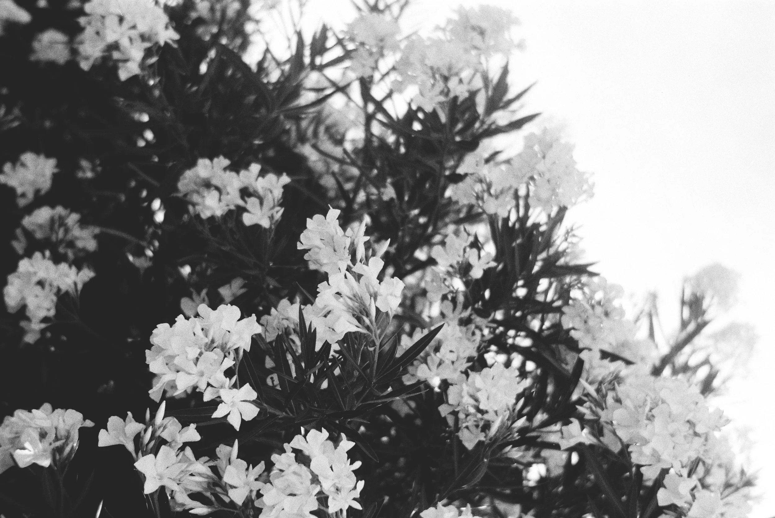 Voyage, Provence, Charlotte-Magne-Photographie©