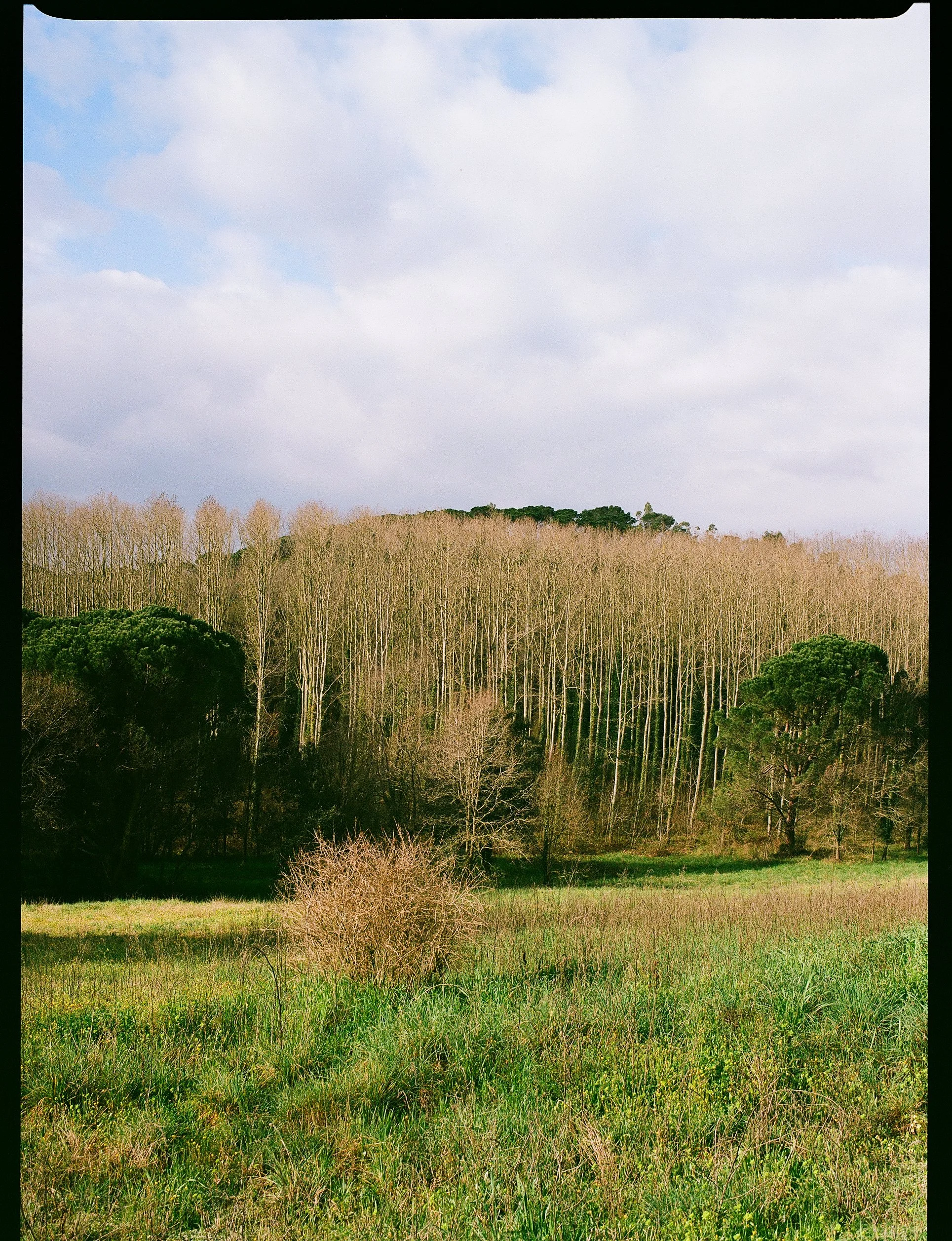Reportage, Nature, Can Silvestre ©Charlotte-Magne-Photographie