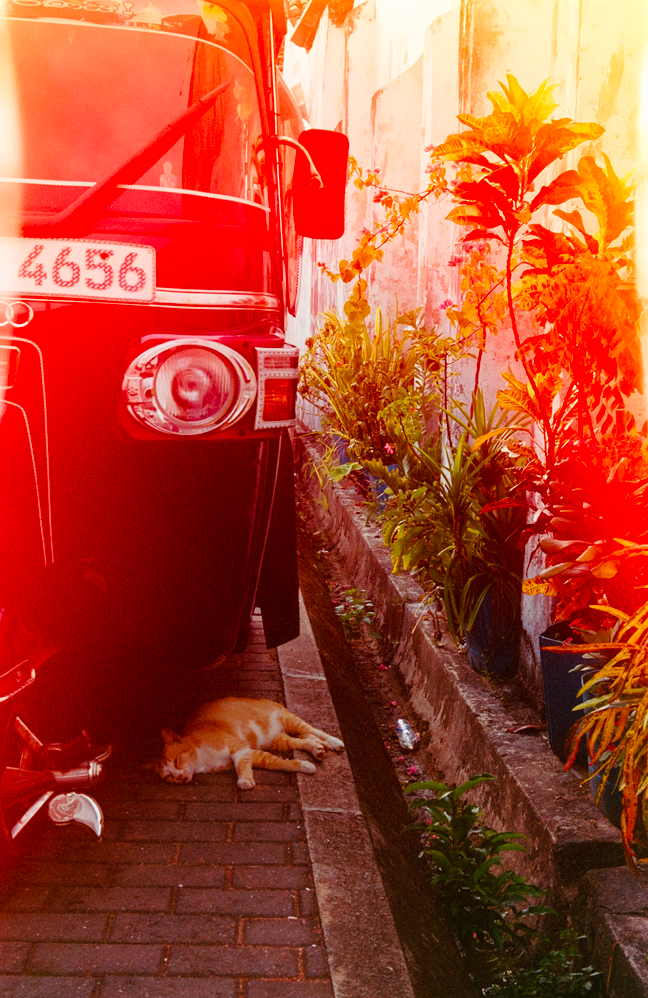 Voyage, Sri-Lanka, Charlotte-Magne-Photographie©