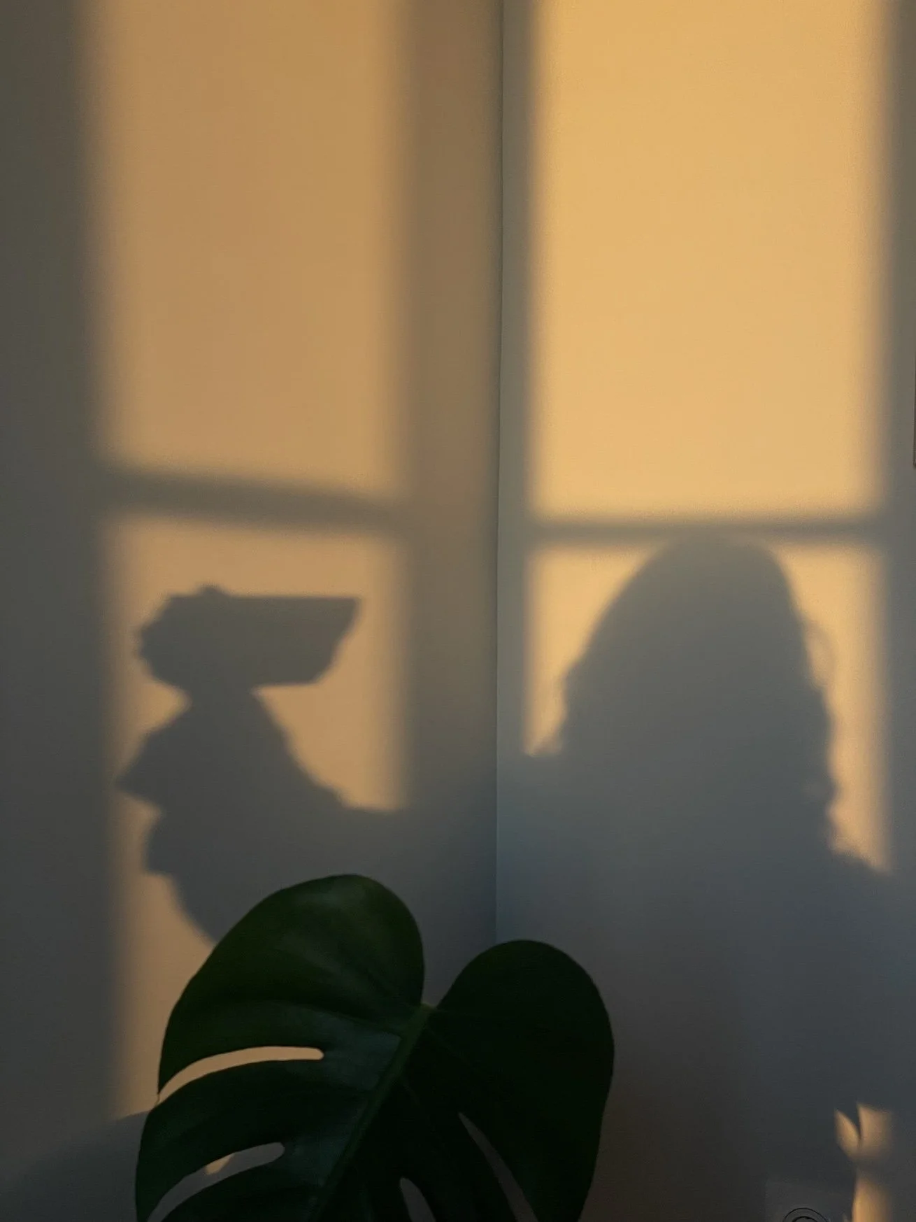 Sunlight casting shadows of a monstera leaf and a person's head and upper body onto a wall with window panes.