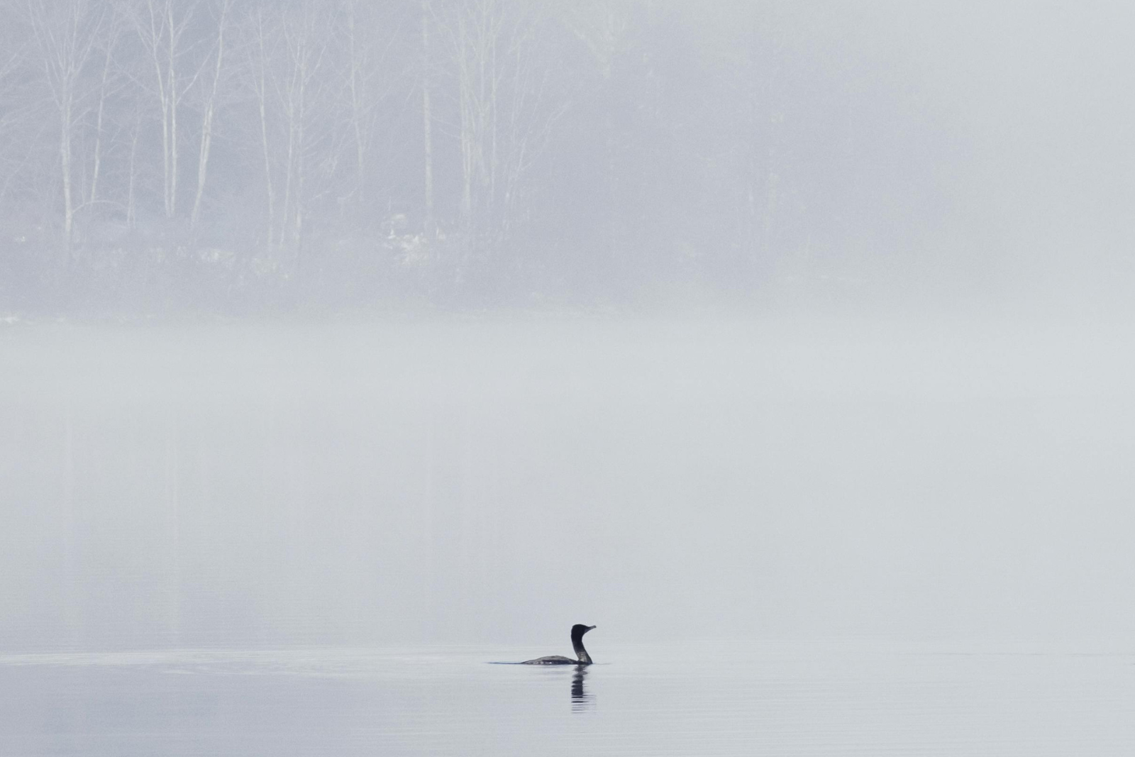 Readiness for Consciousness Work: Are You Prepared for Deeper Inner Exploration?