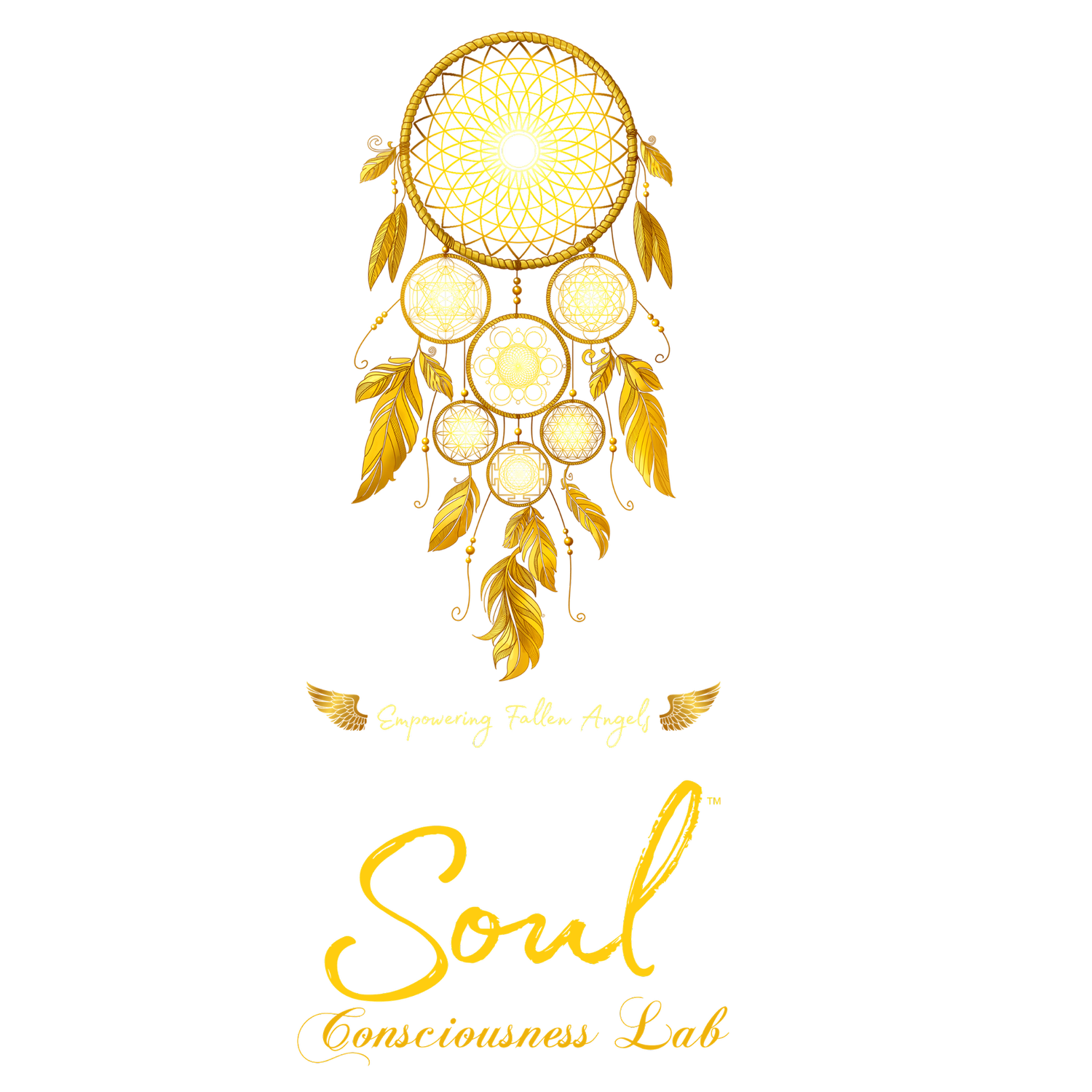 Soul Consciousness Lab
