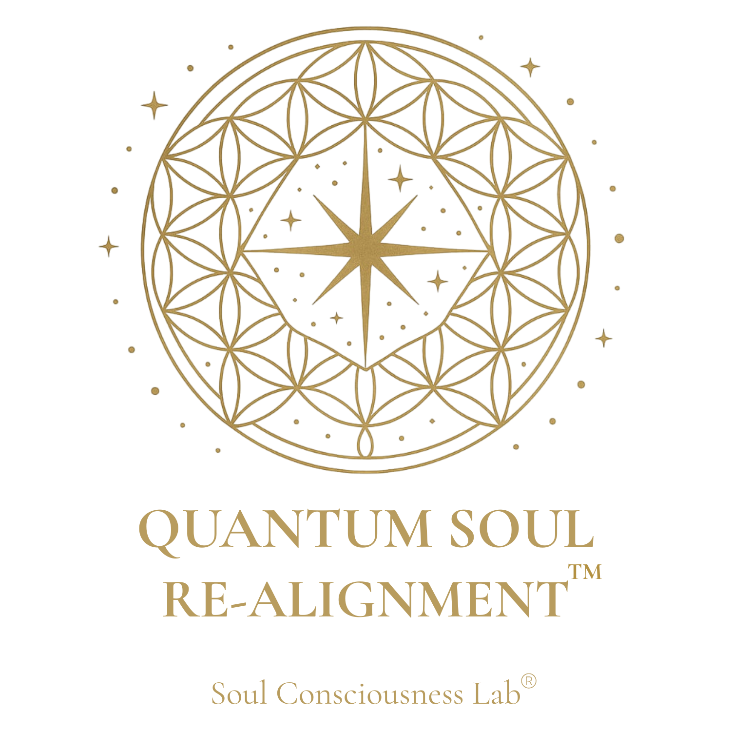 Quantum Soul Re-Alignment® Logo