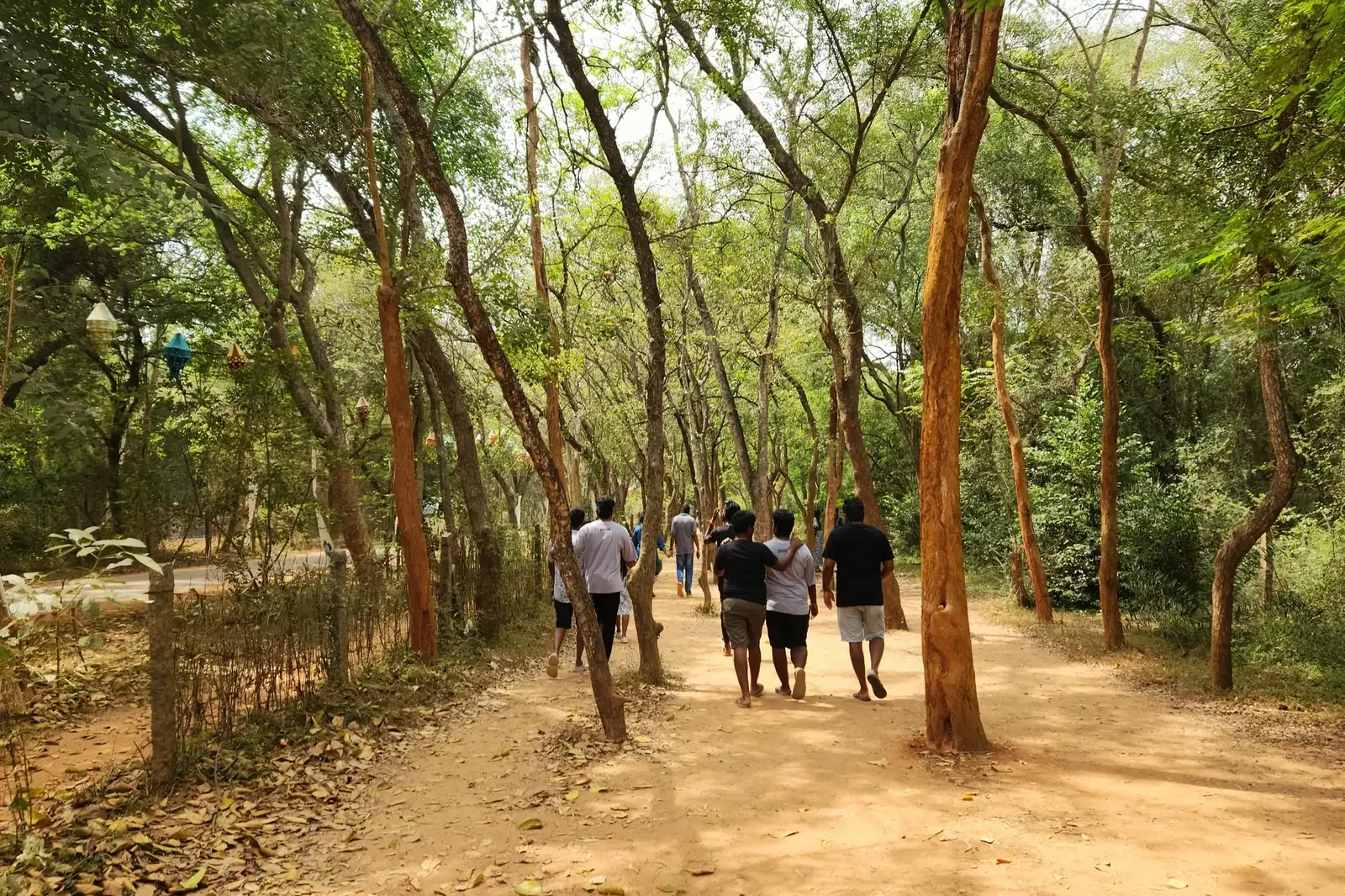 A group of adults walking along a wooded path in Auroville, Tamil Nadu.