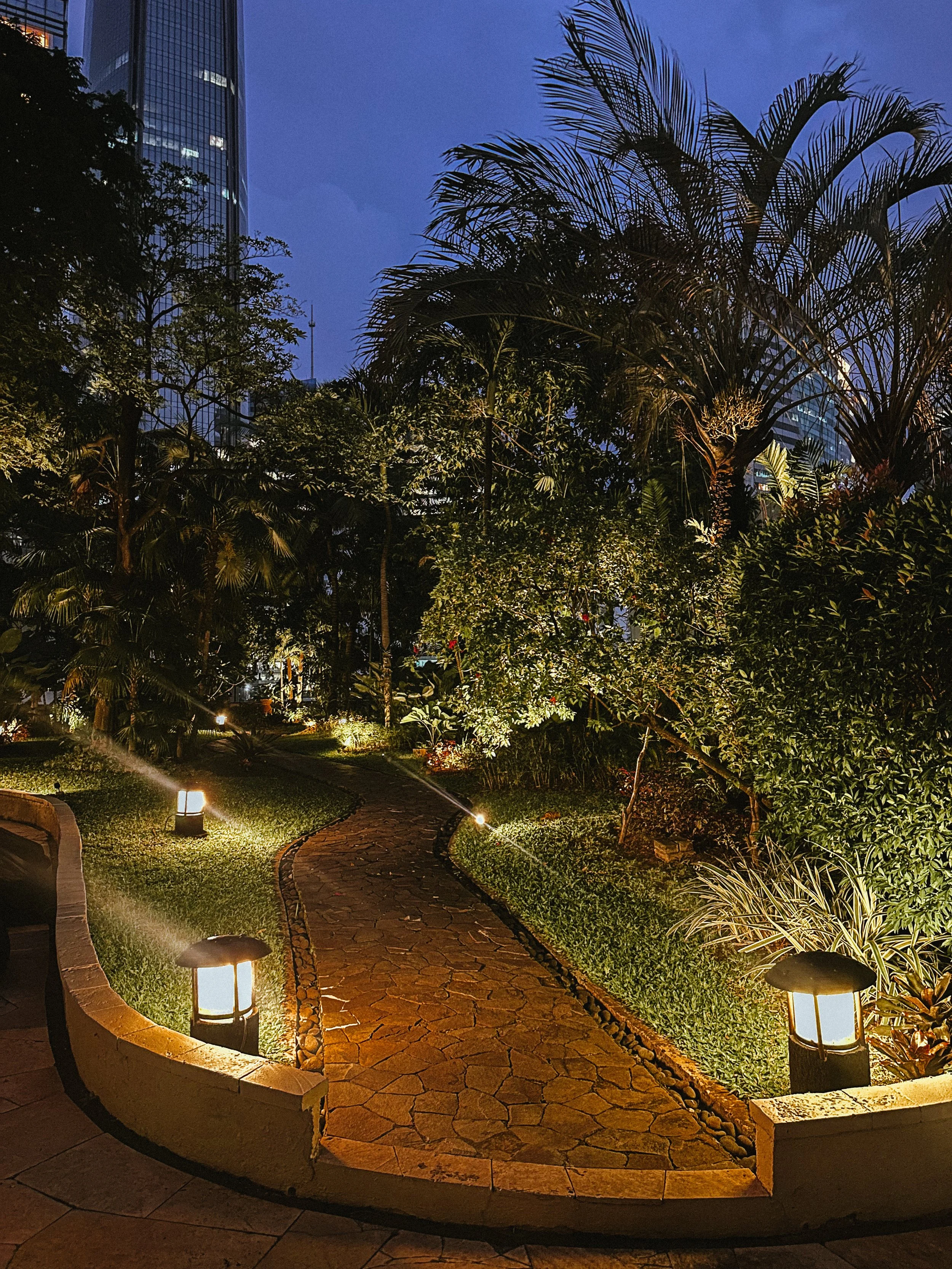 Night view of a lit garden pathway with small lamps along the sides, surrounded by lush trees and plants, with tall buildings peeking through in the background.