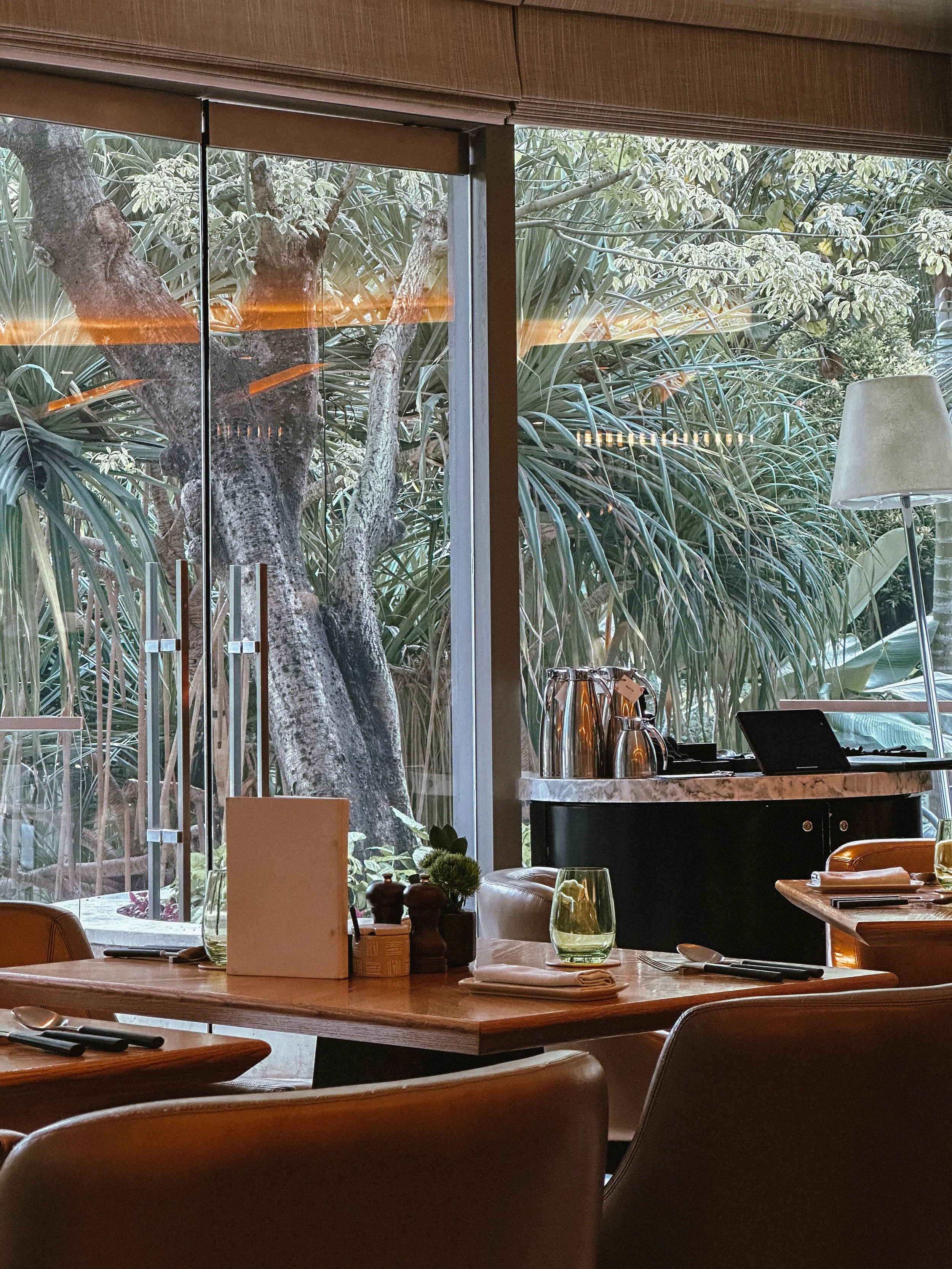 Interior view of a restaurant with a large window overlooking lush outdoor greenery, including trees and large leafy plants. The table is set with glasses, cutlery, and a small potted plant, with a menu standing upright. There is a lamp, a counter wi