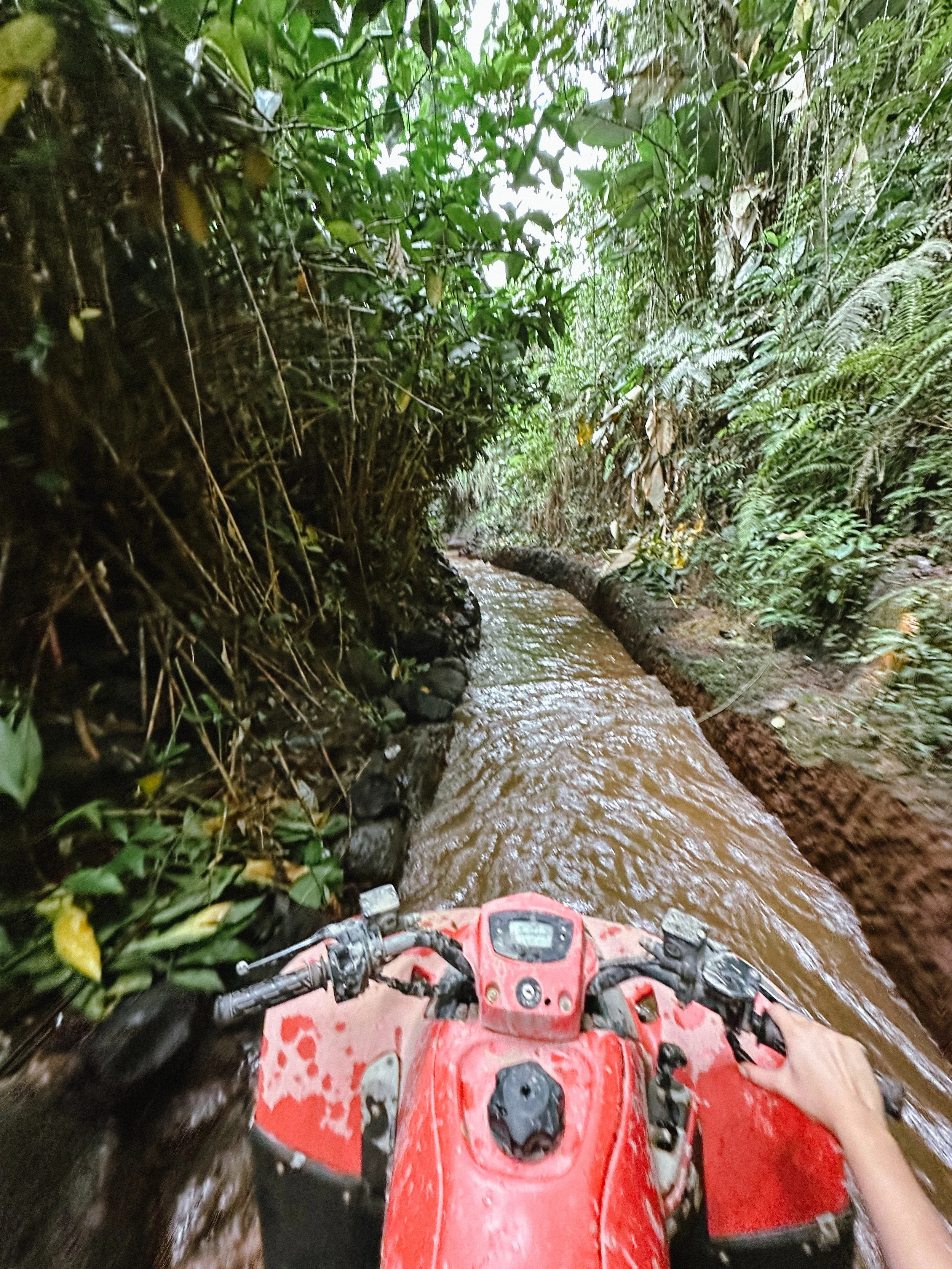 A person riding a red ATV through a narrow muddy trail surrounded by dense green jungle vegetation.