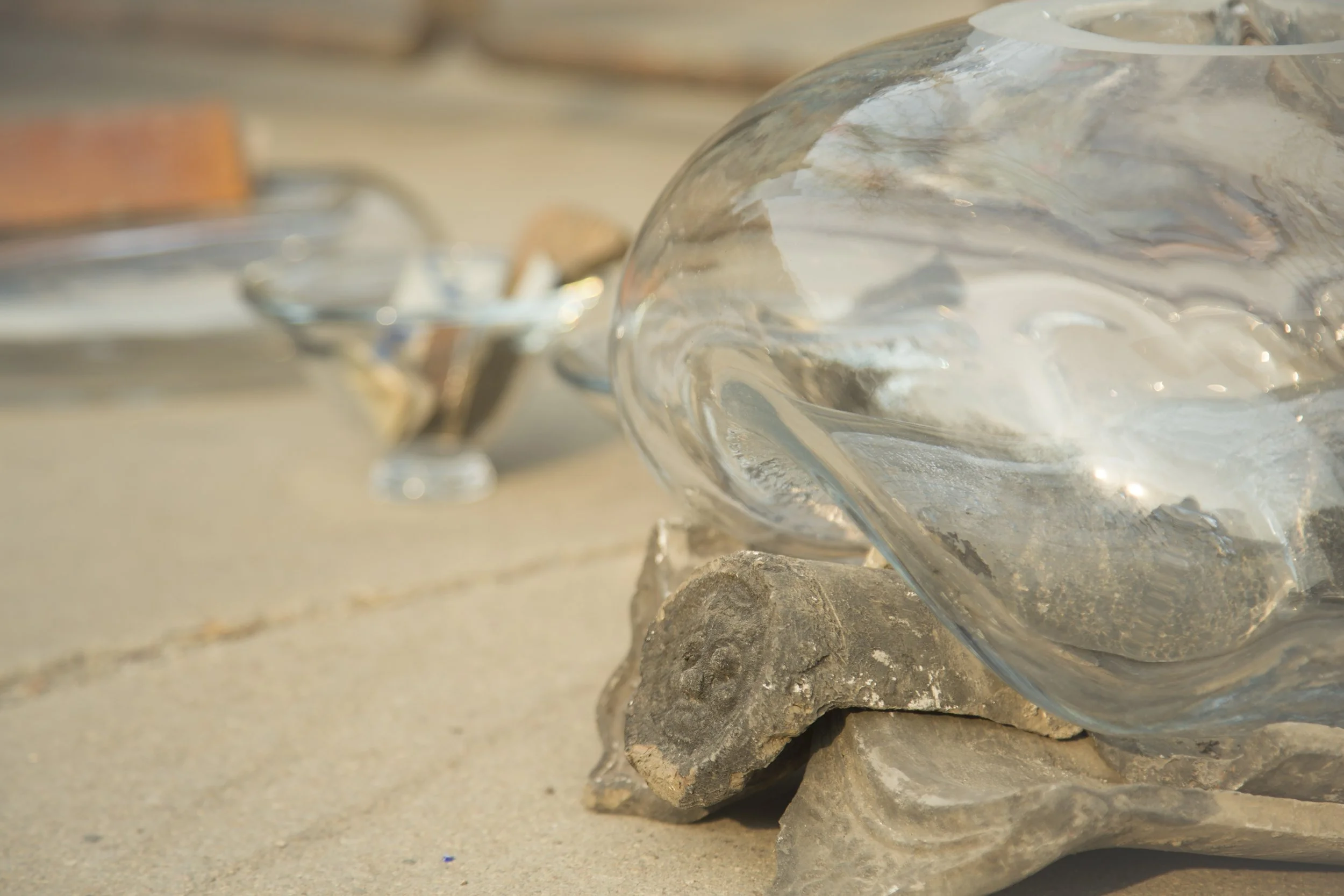 MEMORIE FRAGILI_06.jpg