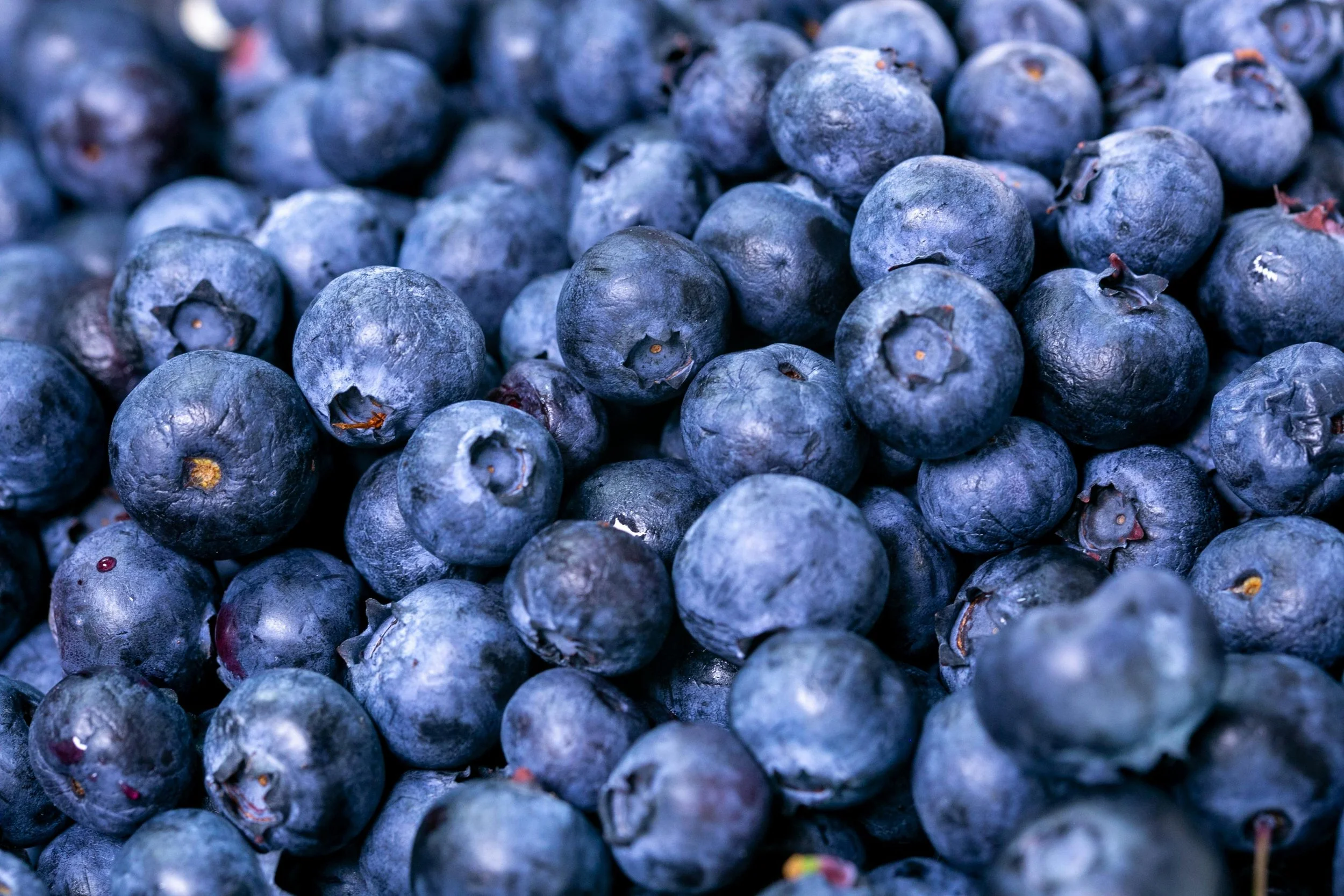 Close-up of fresh blueberries.