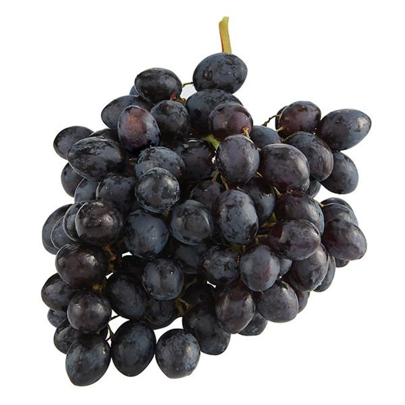 A bunch of black grapes with a light background.
