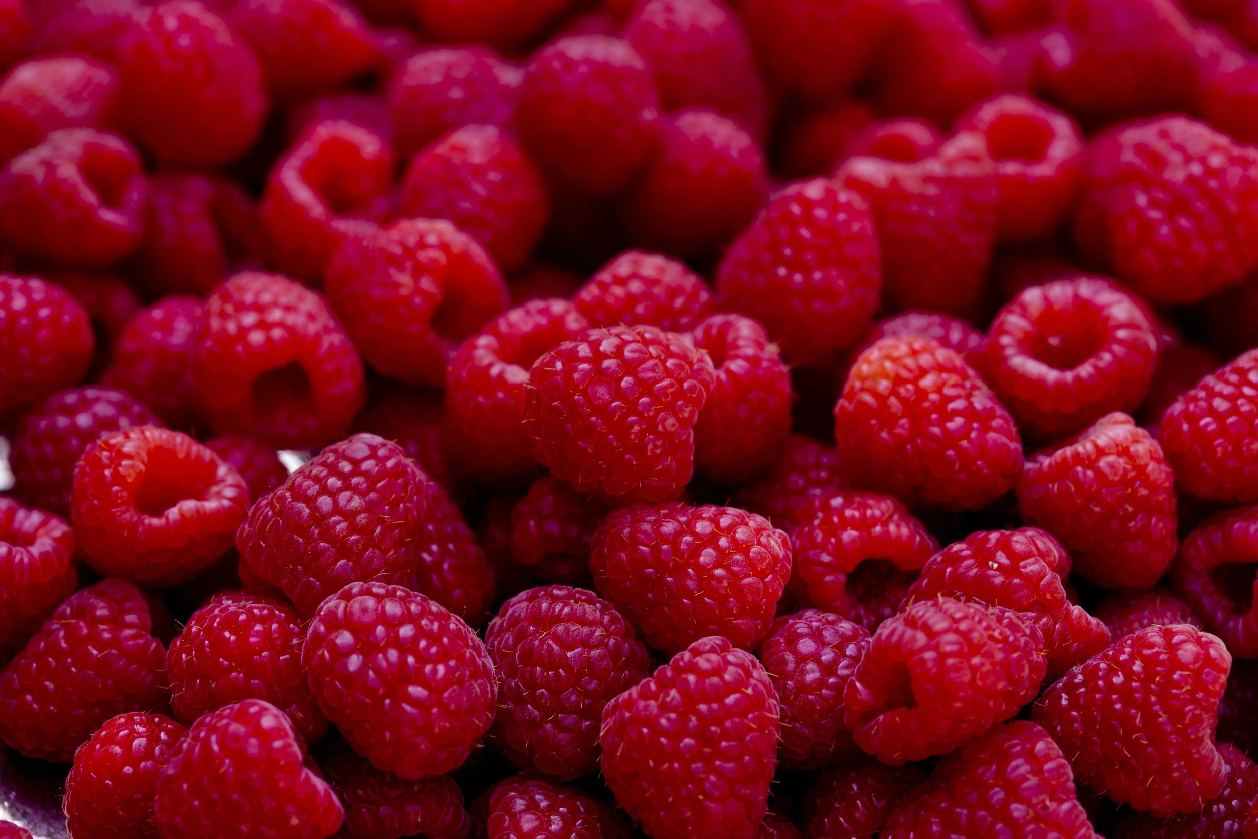 Close-up of fresh red raspberries.