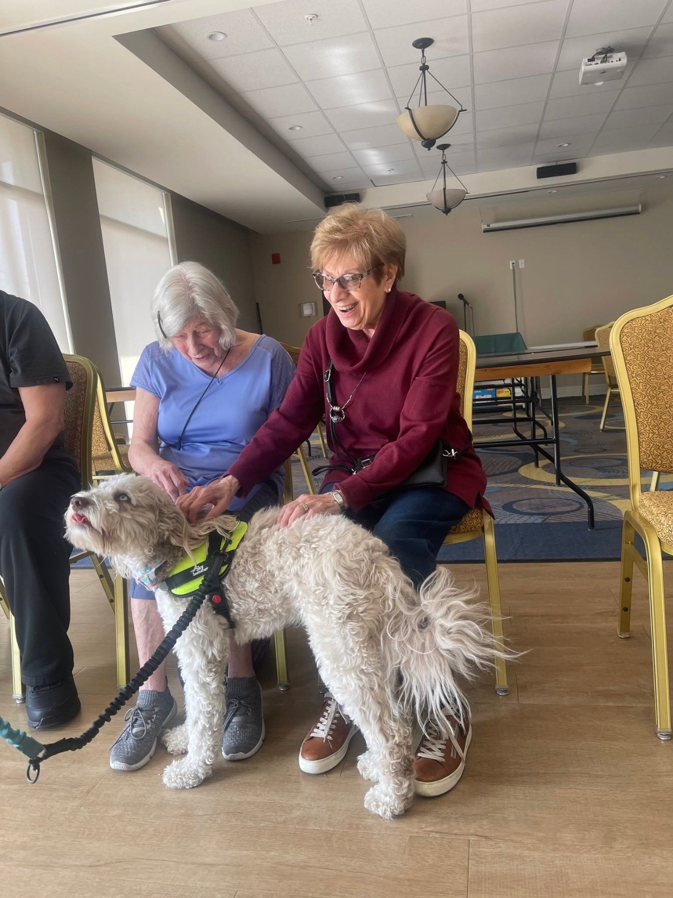 Des résidents caressent un chien de thérapie en visite à la Résidence Le Parc