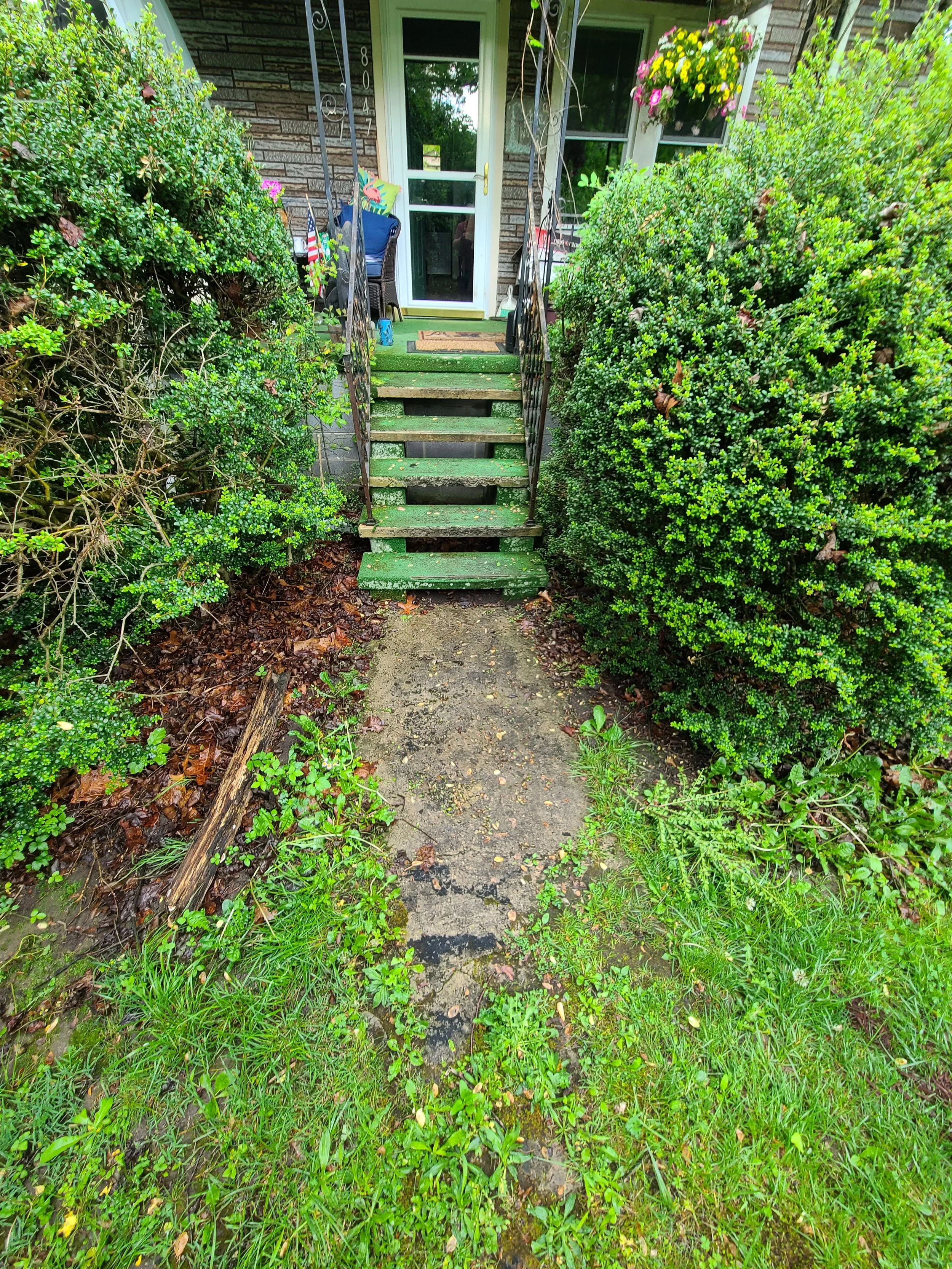 A set of green wooden stairs with a black metal railing leading up to a house with a glass front door, surrounded by bushes and greenery with hanging flower baskets beside the door.