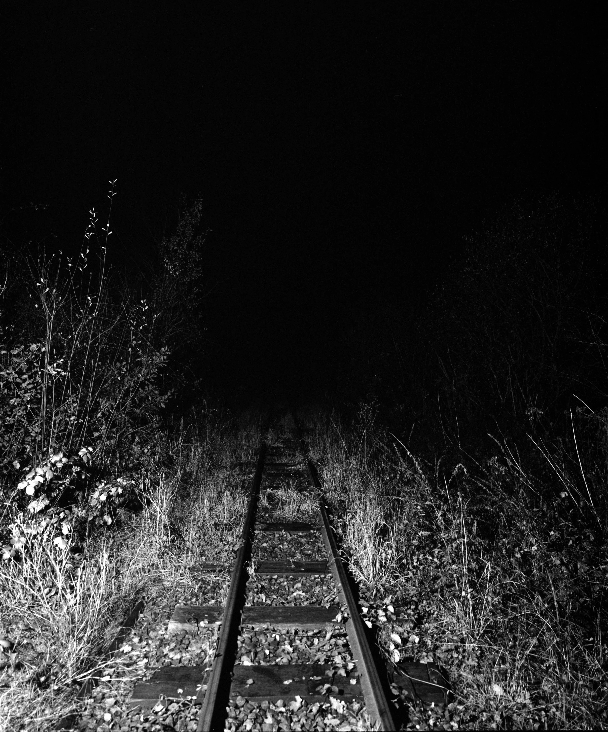 polly_white_railway-web.jpg