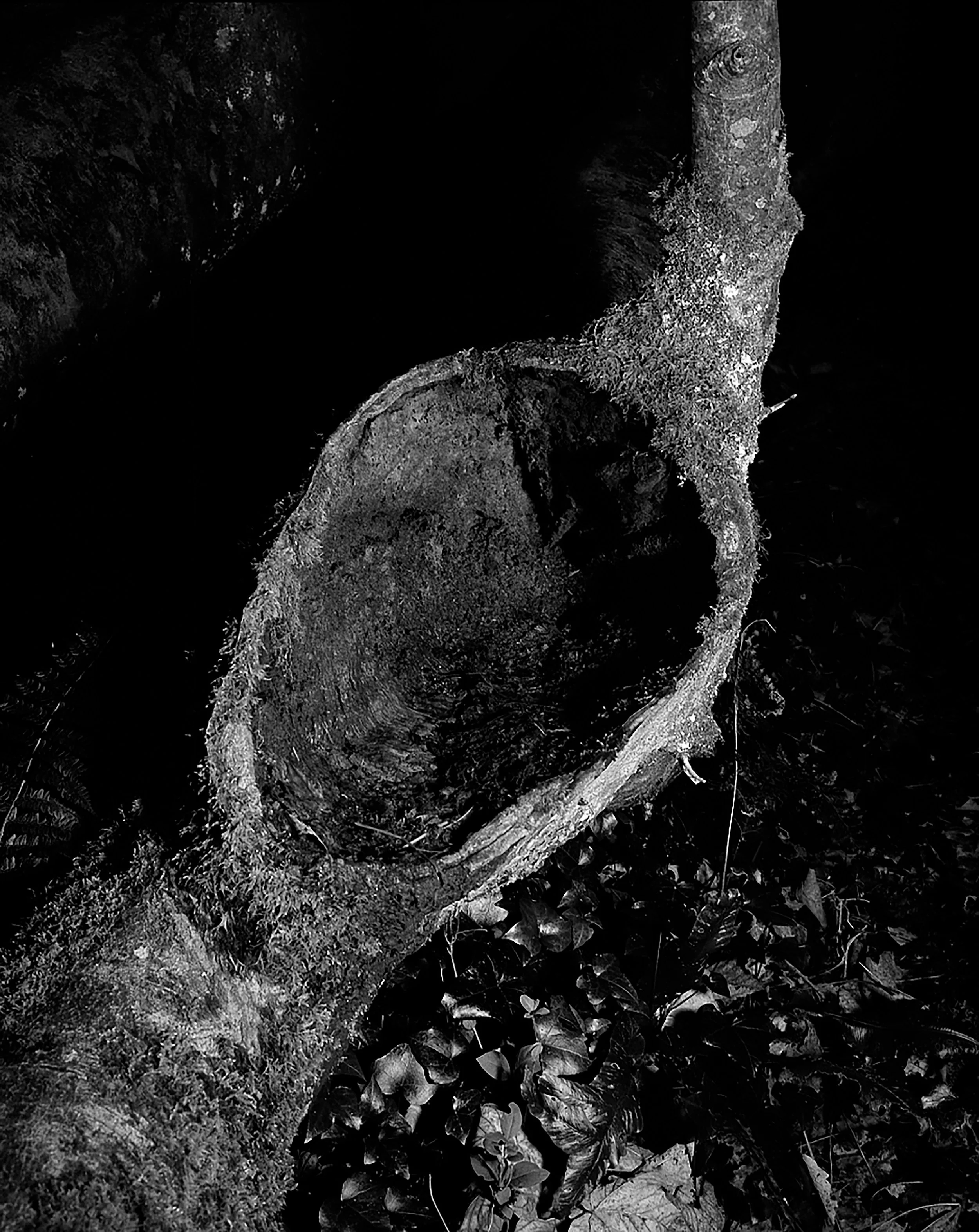 hole02 bw.jpg