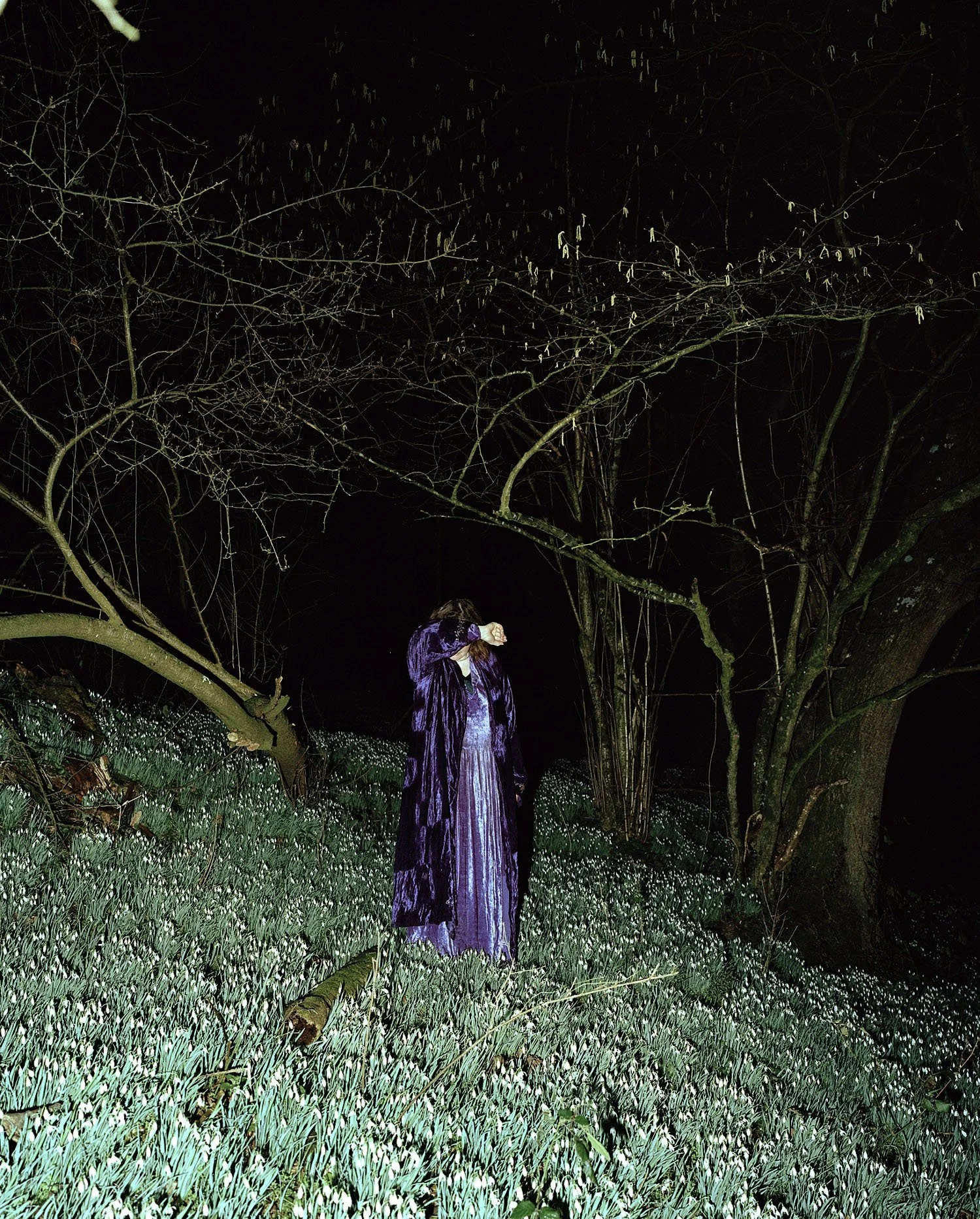 Imbolc.jpg