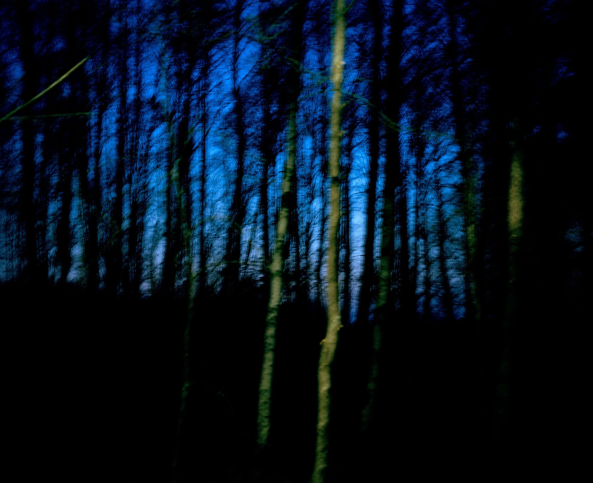 Dusk.jpg