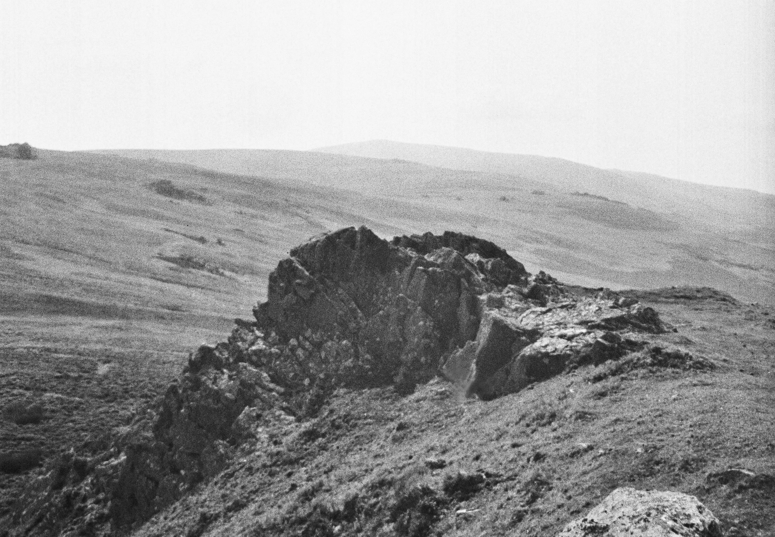desktop background bw.jpg