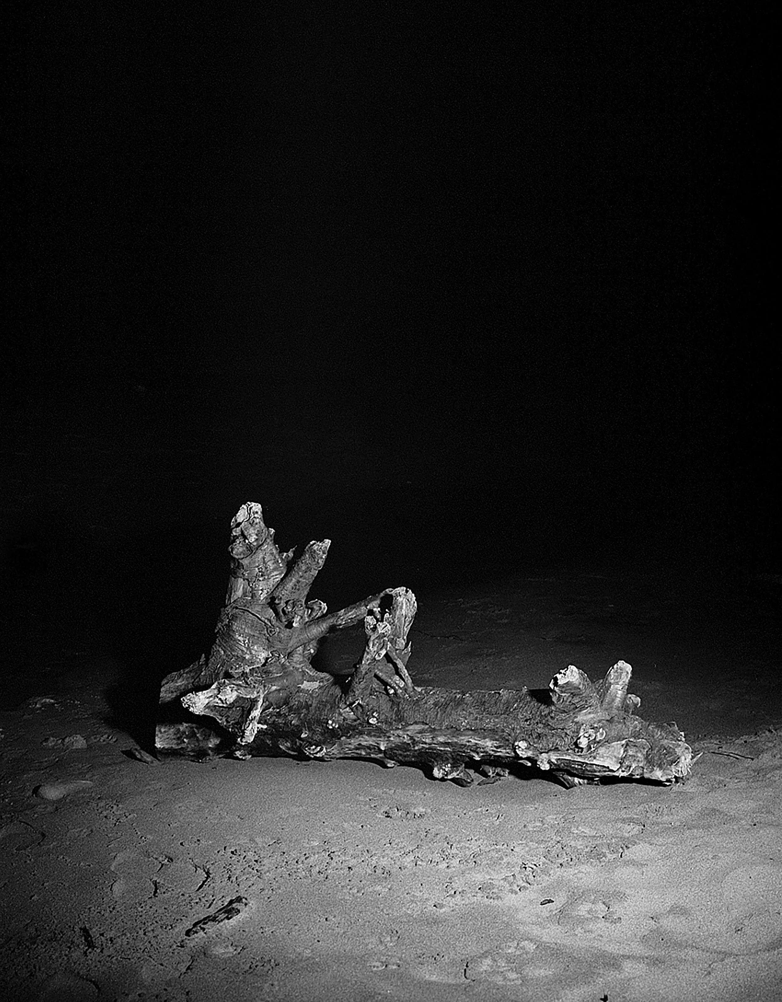 log01 bw.jpg