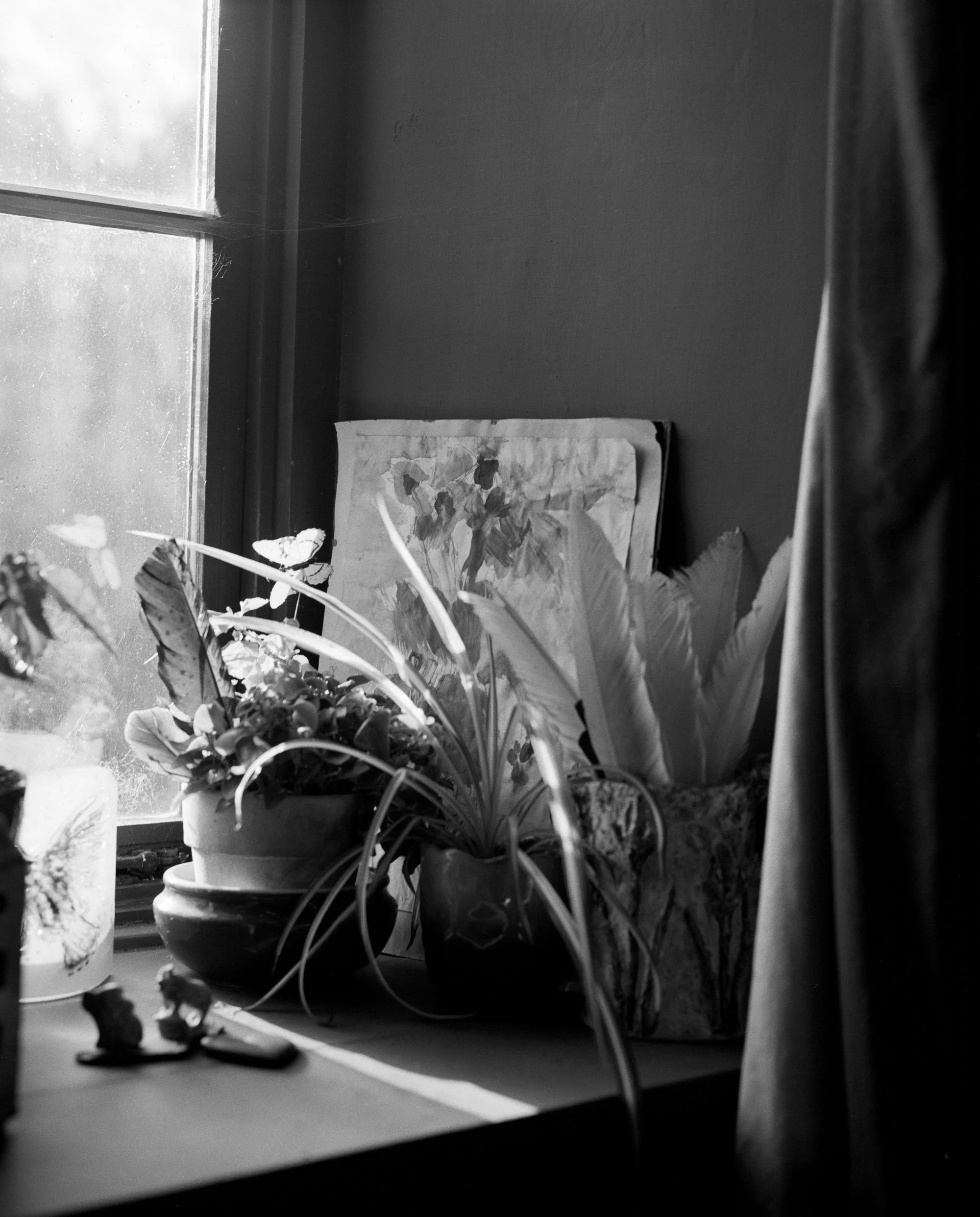 windowsill-01-001-web.jpg