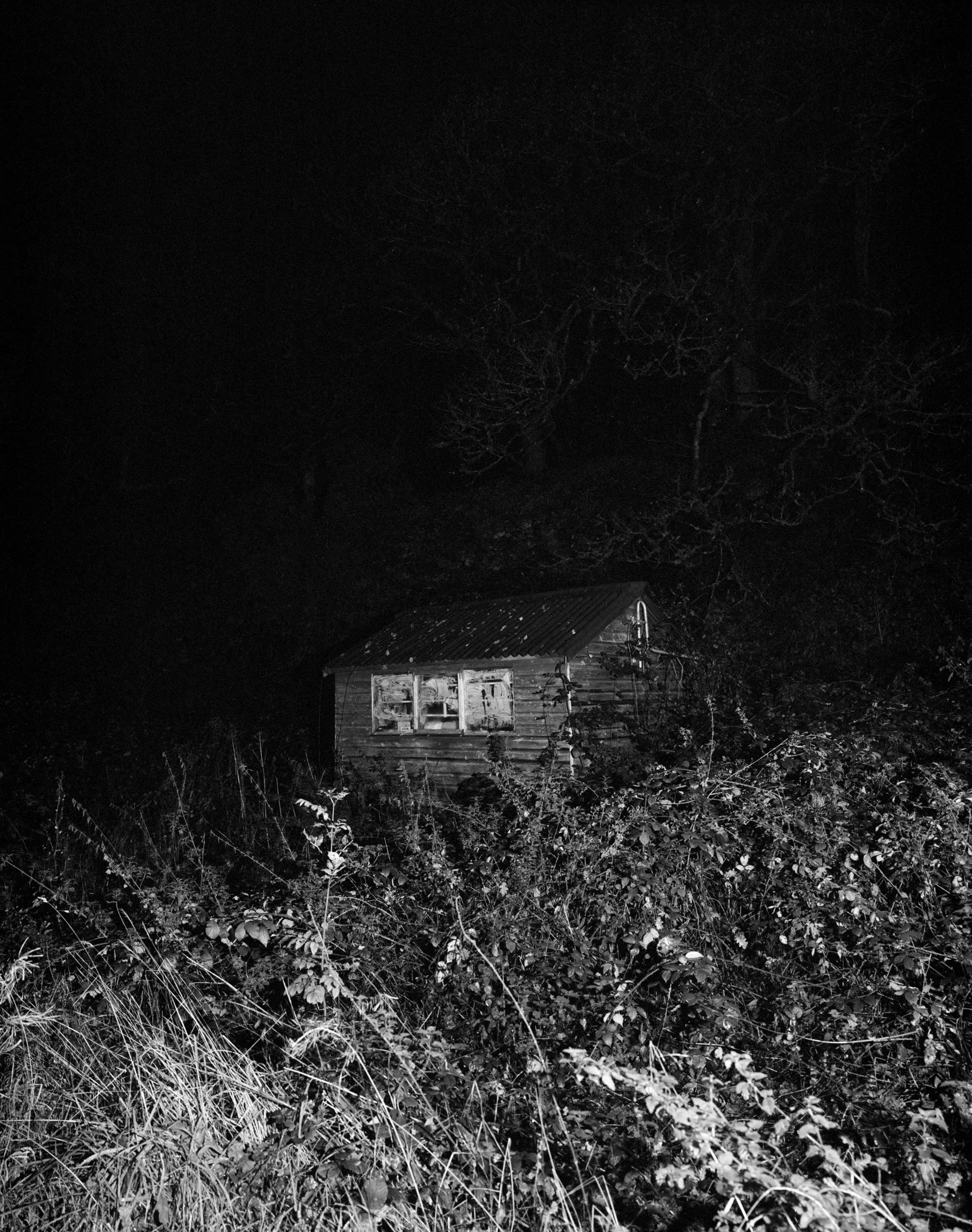 PWhite04-web.jpg