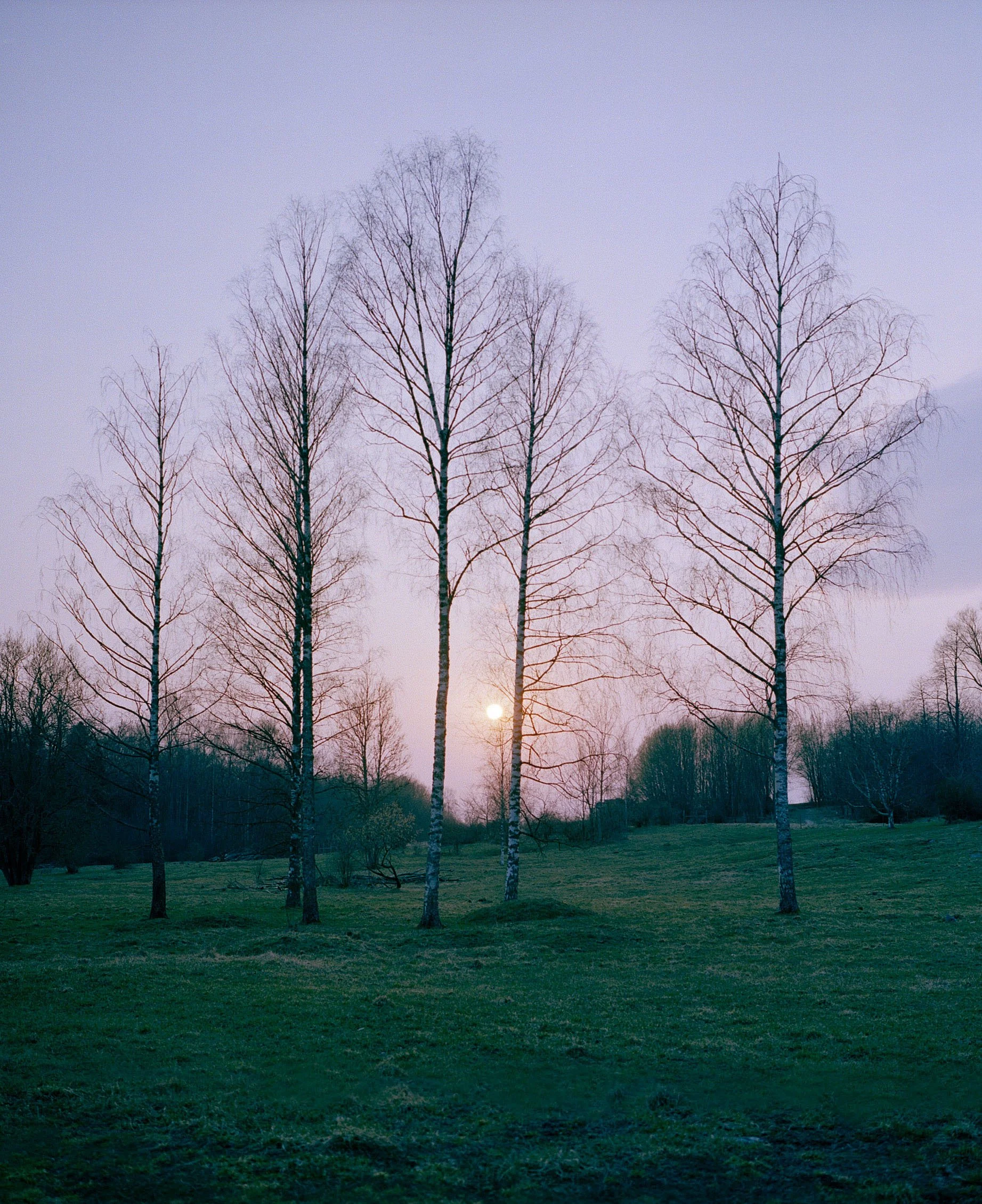 Sweden Sunset.jpg