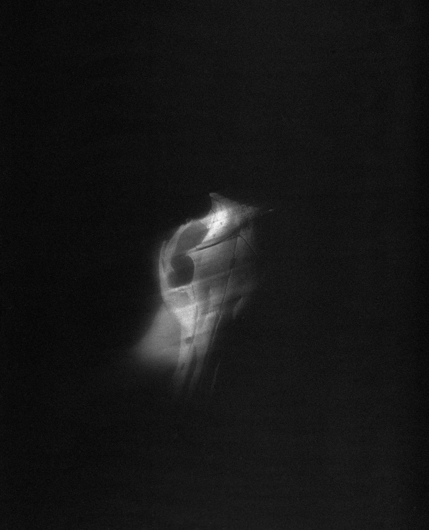 skull088-bw-web.jpg