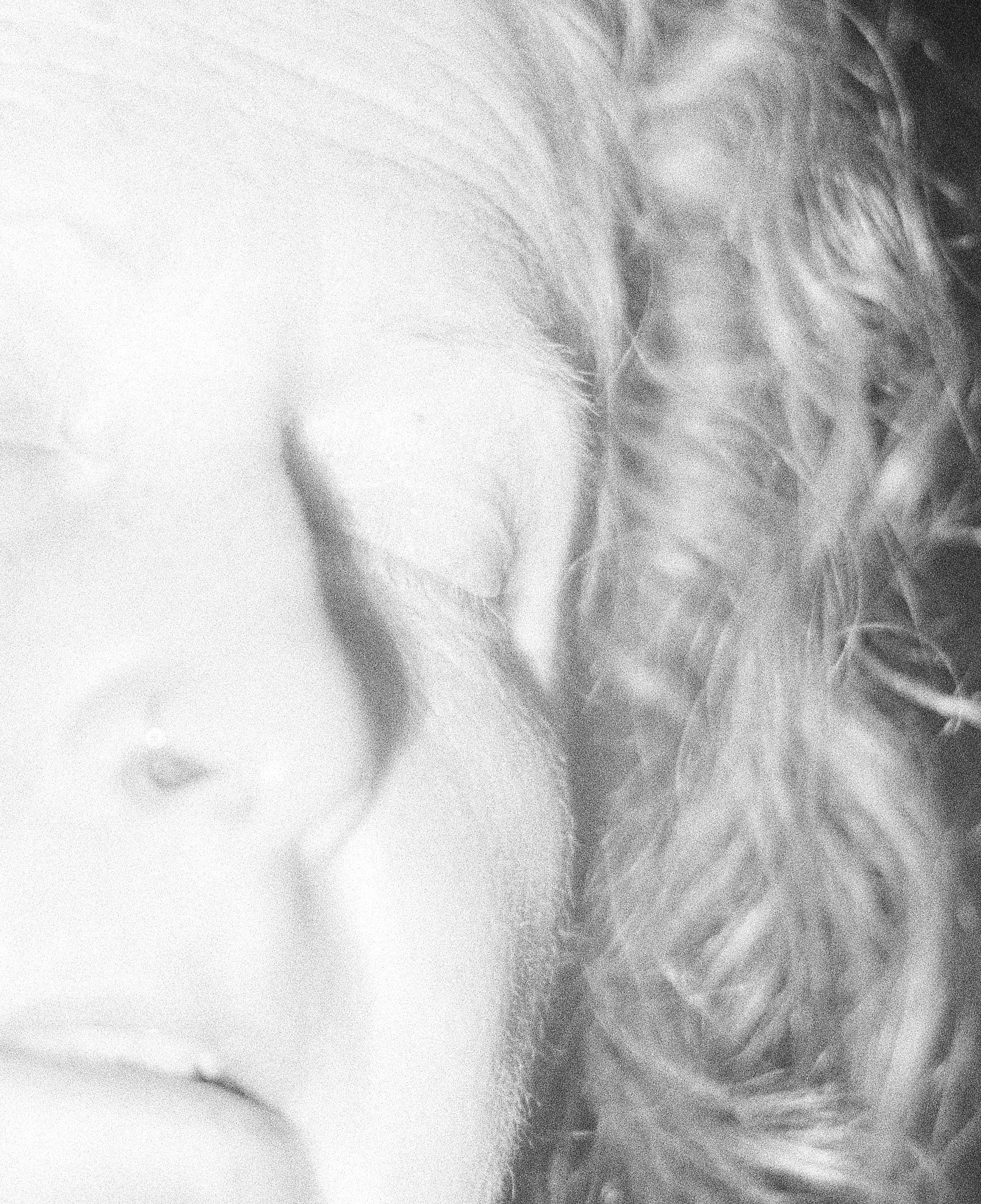 mum-flash-01-002-crop-02-web.jpg