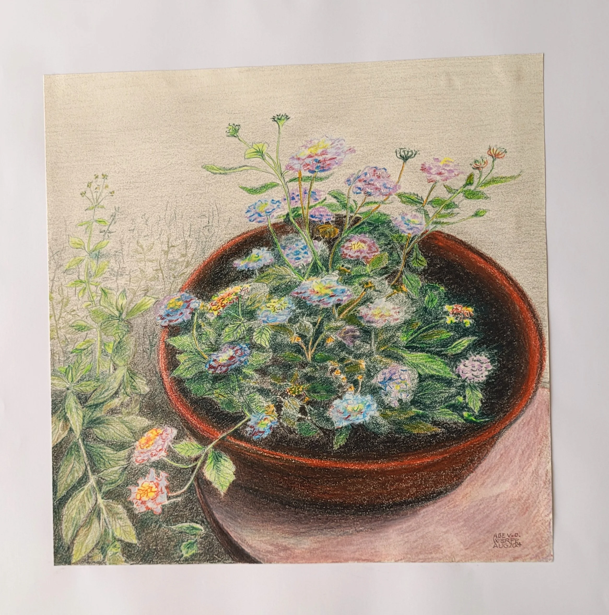 20240810_152338 - kopie.jpg