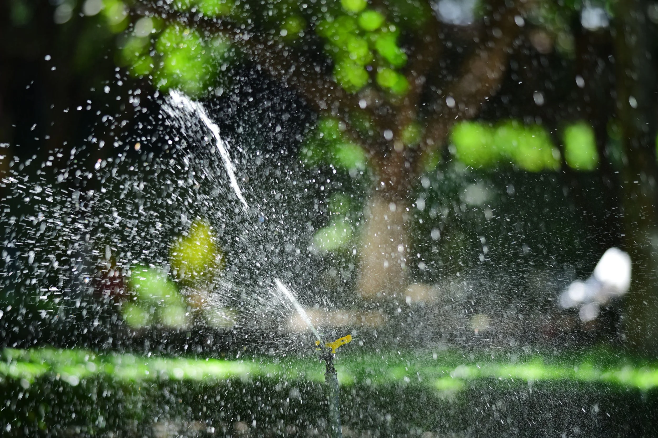 Irrigation & Water Management