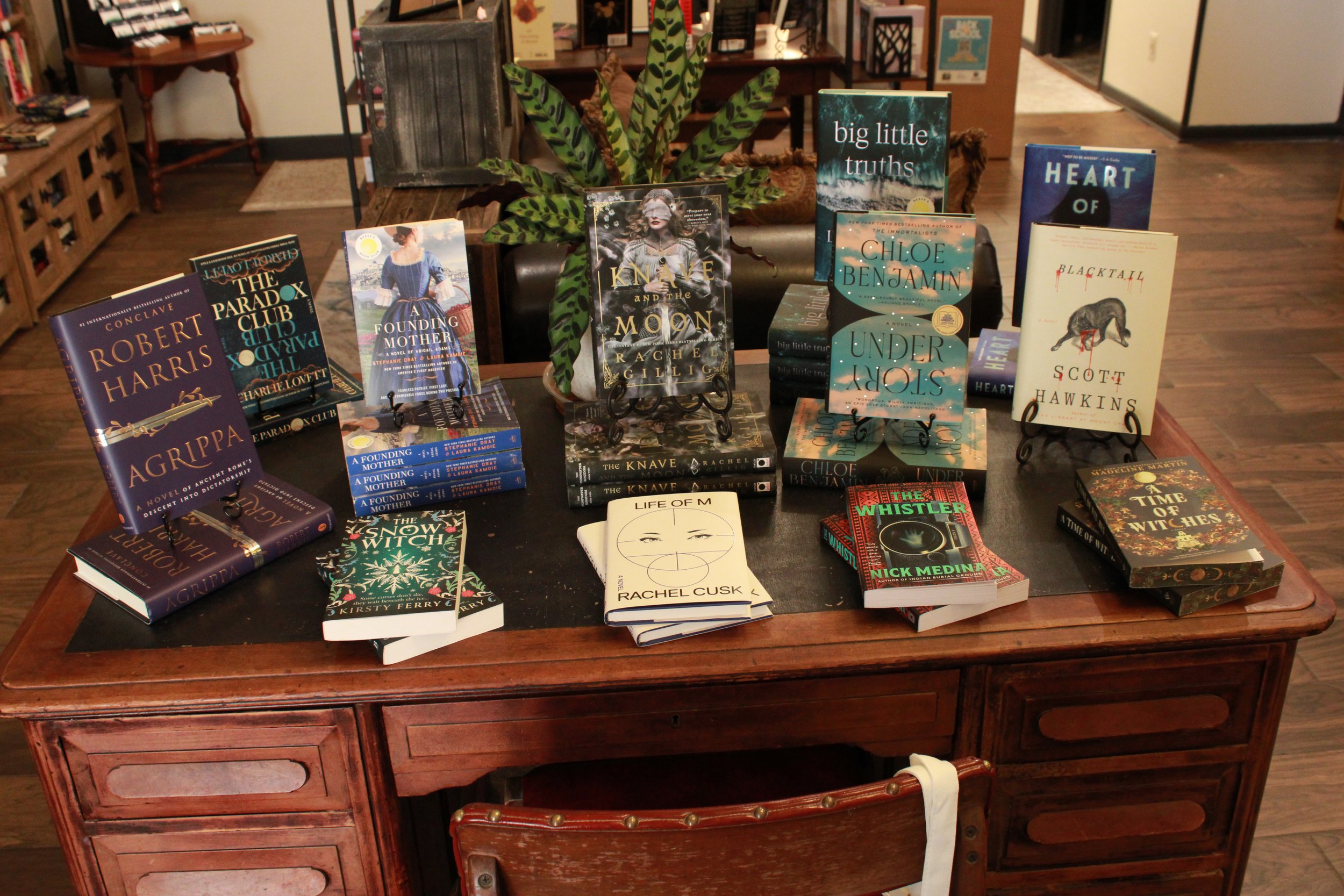 Display of various books on a wooden table with a potted plant in the background inside a bookstore.