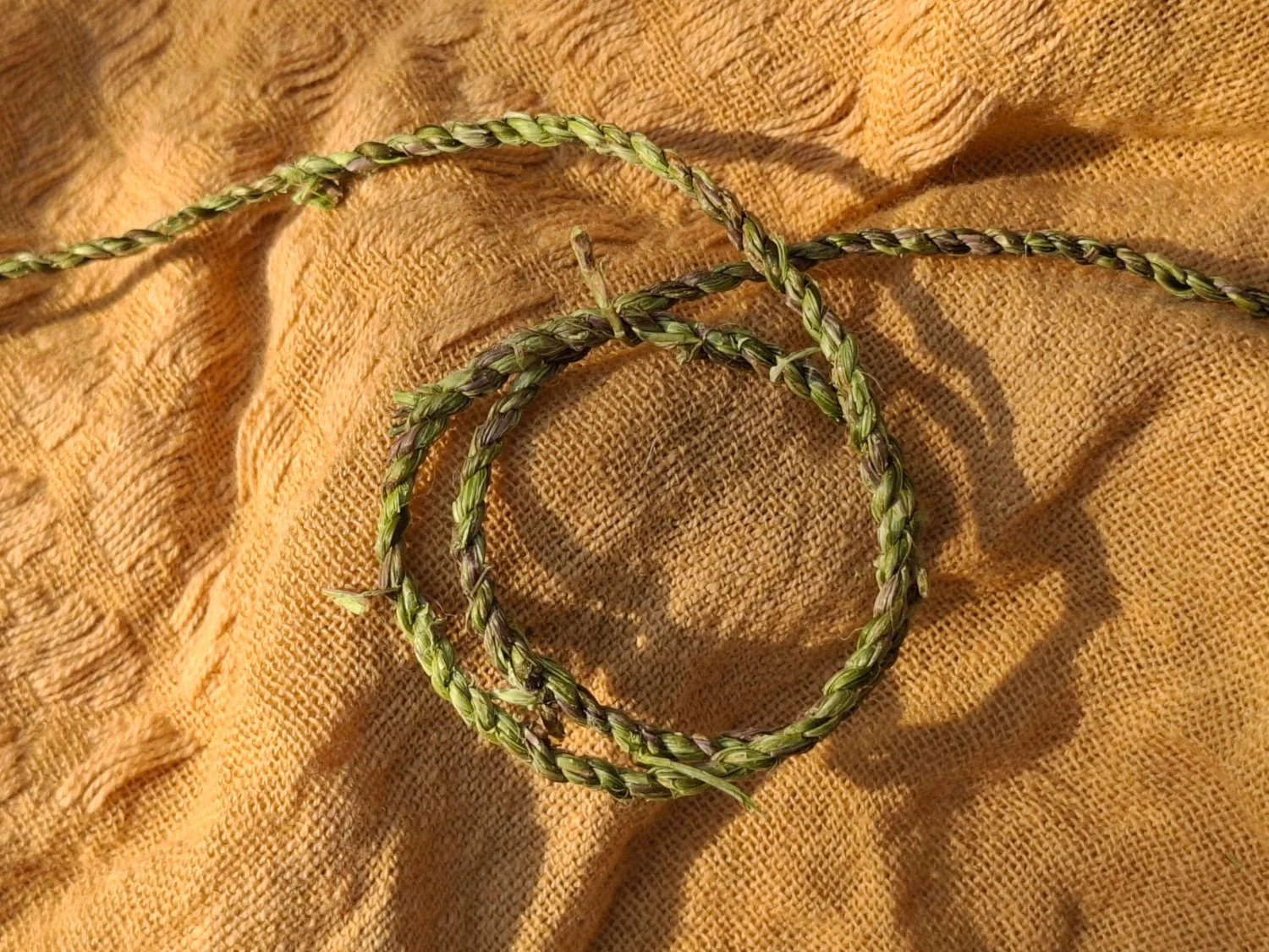stinging nettle cordage