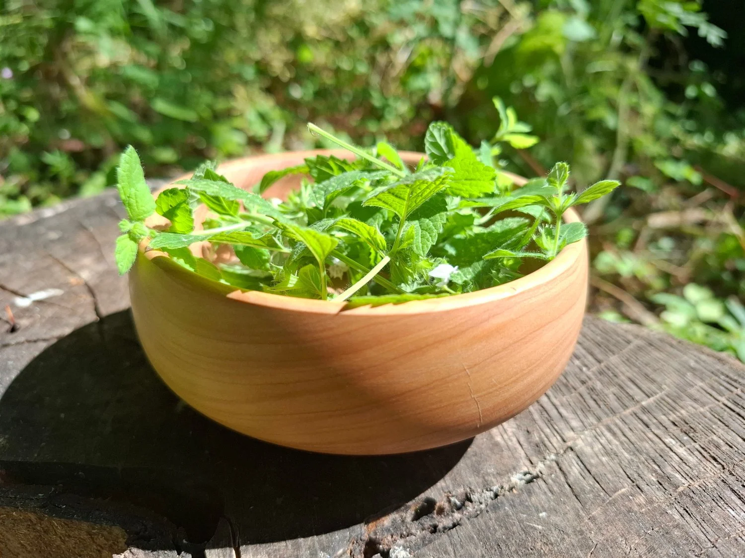 A wooden bowl filled with fresh green herbs, placed on a rustic wooden surface outdoors.