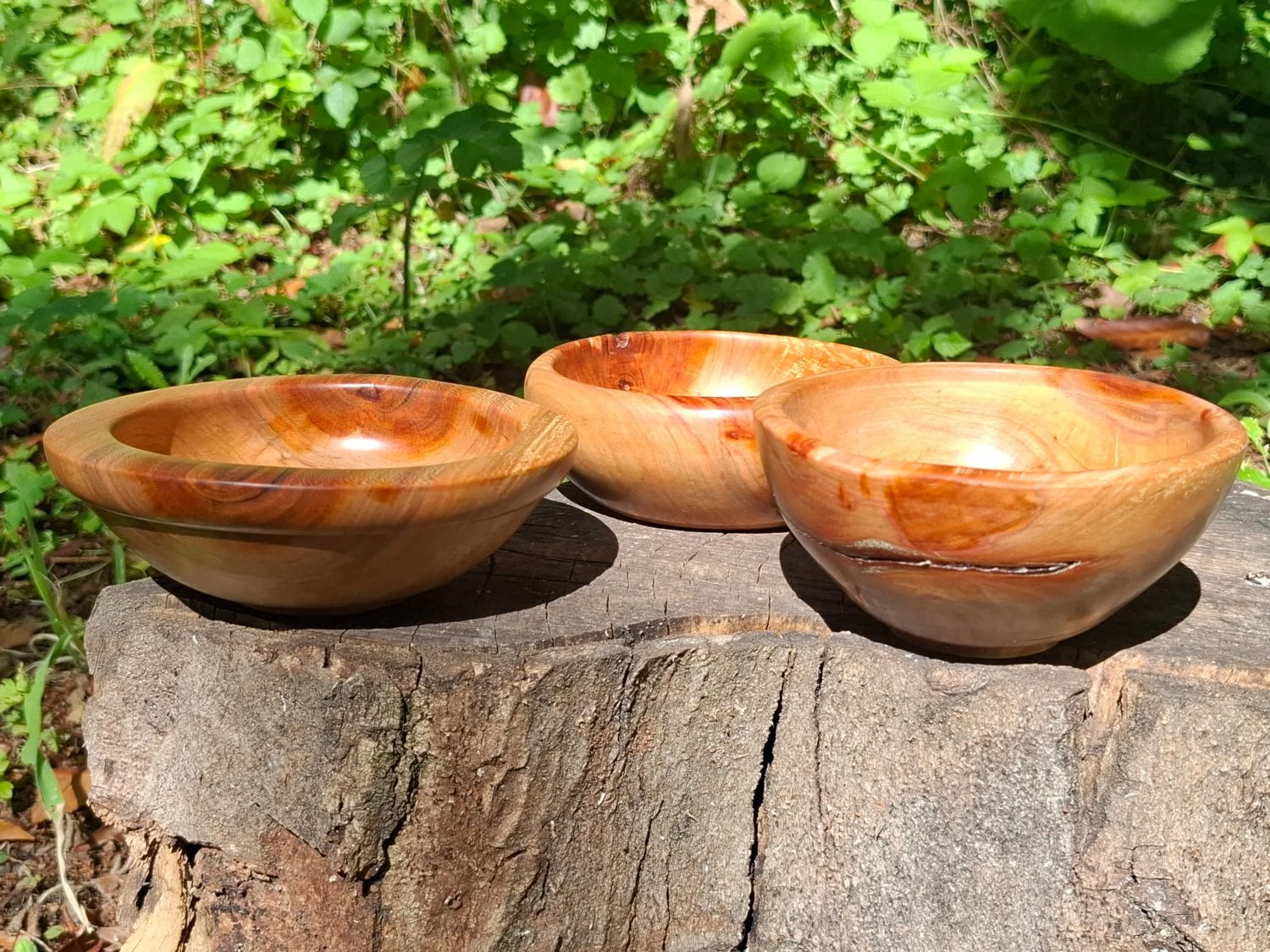Three wooden bowls placed on a tree stump outdoors, with green leafy plants in the background.