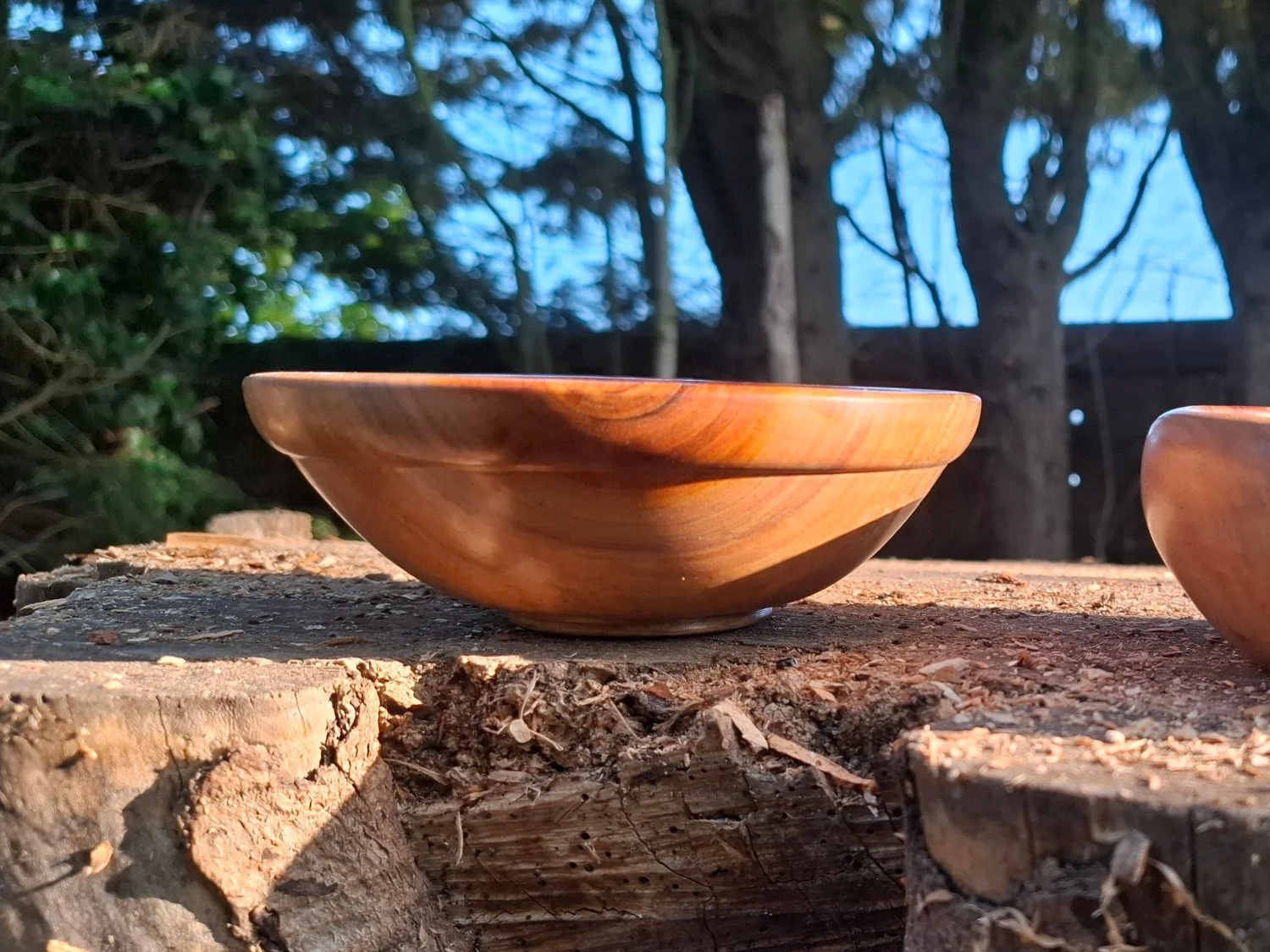 Close-up of a wooden bowl placed on a tree stump outdoors with trees and a blue sky in the background.